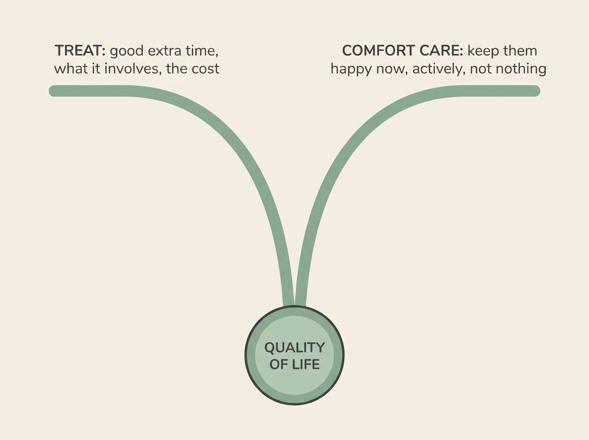 Flat vector diagram on a cream background showing two balanced paths in equal sage-green, one labelled “TREAT: good extra time, what it involves, the cost” and the other “COMFORT CARE: keep them happy now, actively, not nothing”, the two paths curving down to meet at a single shared node labelled “QUALITY OF LIFE”, neither path drawn larger or brighter than the other