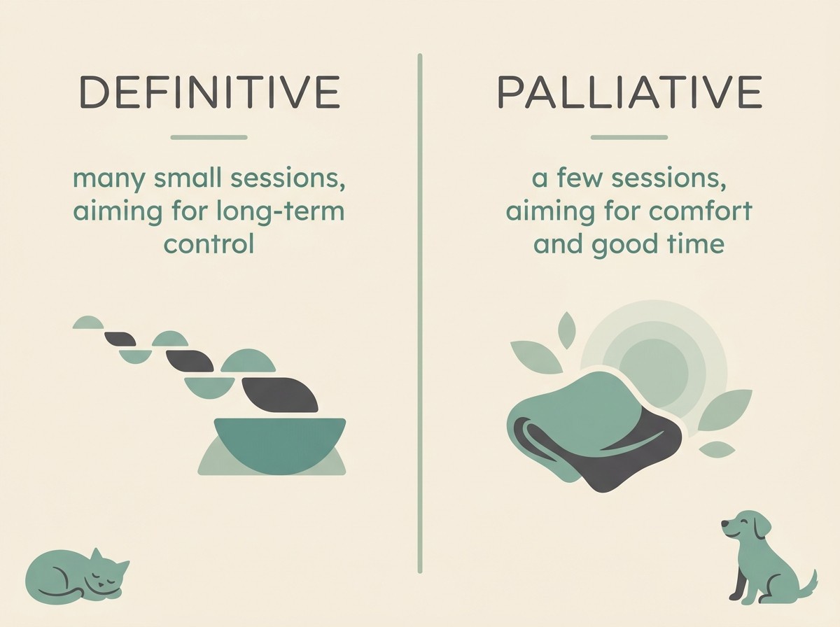 A clean two-column card, flat vector on warm cream in sage and soft charcoal, headed "DEFINITIVE: many small sessions, aiming for long-term control" beside "PALLIATIVE: a few sessions, aiming for comfort and good time".