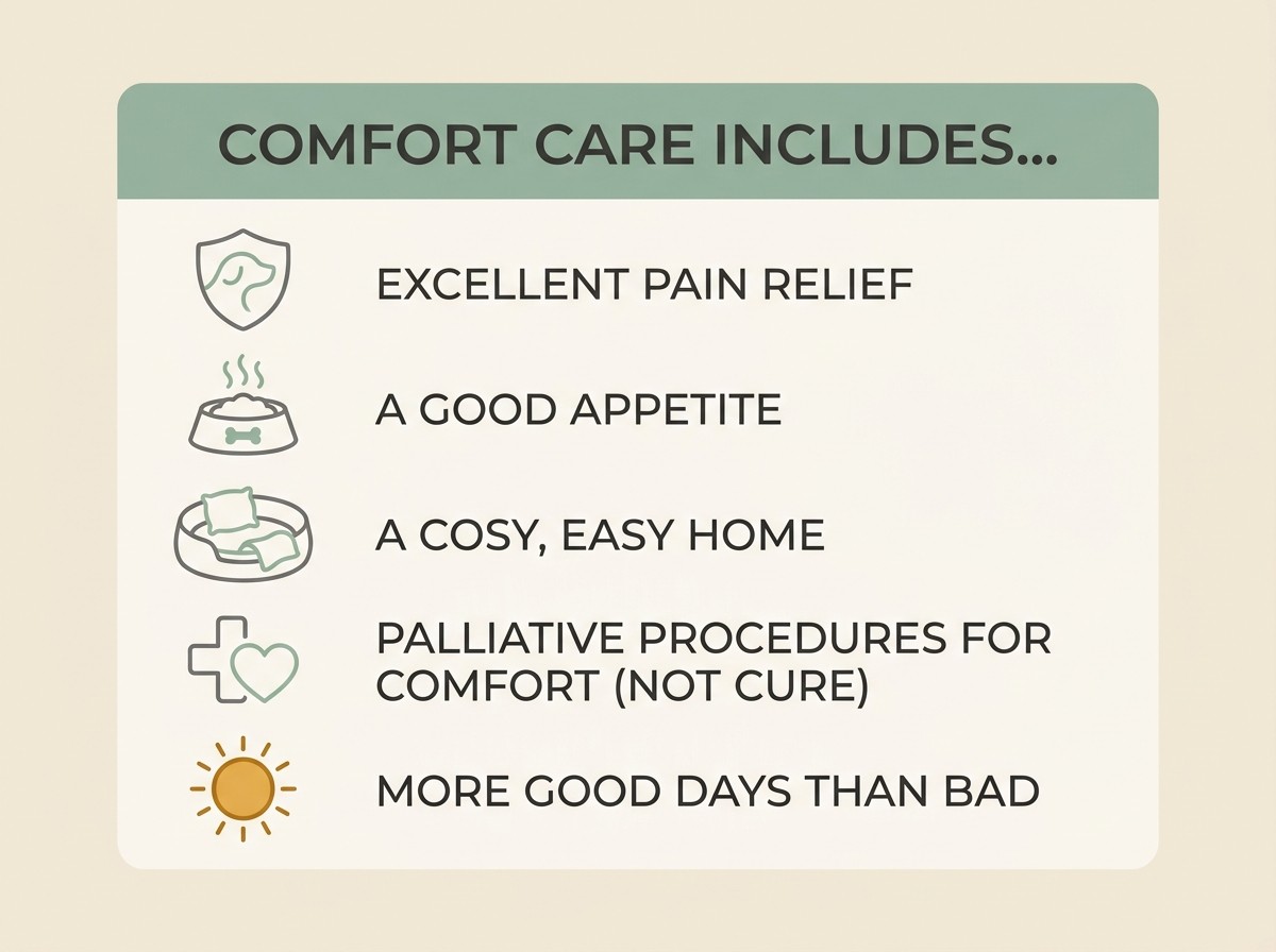 Flat vector card on a warm cream background, sage-green headers on charcoal text, titled “COMFORT CARE INCLUDES…” with five gentle icon rows reading “EXCELLENT PAIN RELIEF”, “A GOOD APPETITE”, “A COSY, EASY HOME”, “PALLIATIVE PROCEDURES FOR COMFORT (NOT CURE)” and “MORE GOOD DAYS THAN BAD”, calm and uncluttered, no clinical imagery