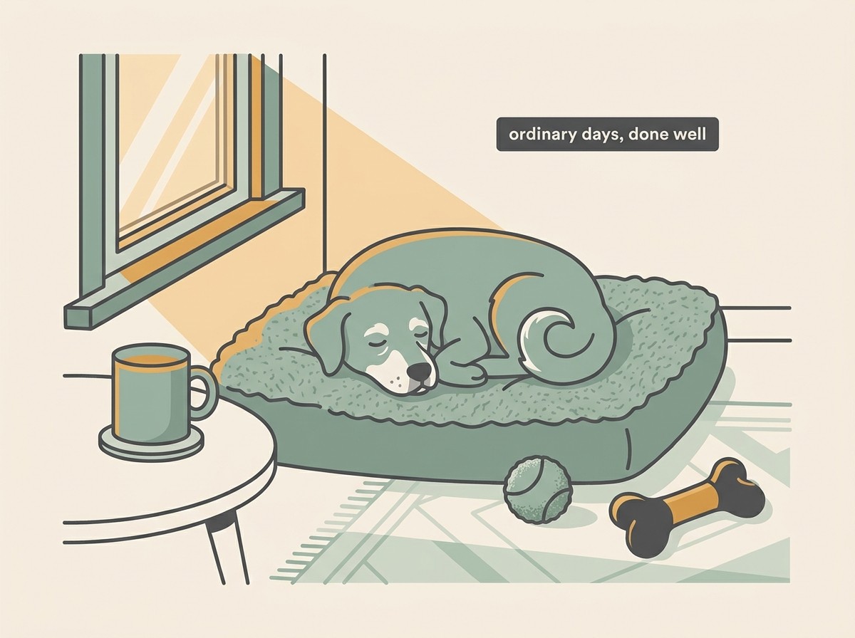 A cosy living-room scene: a content older dog dozing in a sunbeam on a soft bed, a half-finished game of soft-toy fetch nearby, and a warm mug on the side; a small card reads “ordinary days, done well”.