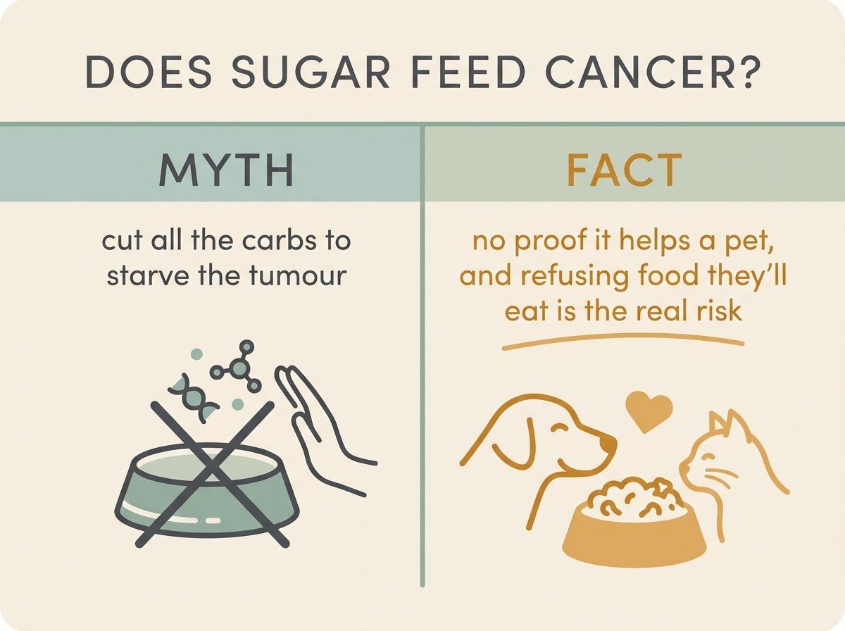 A simple "myth vs fact" card, flat vector on warm cream in sage and soft charcoal, headed "DOES SUGAR FEED CANCER?" with a myth column and a fact column.