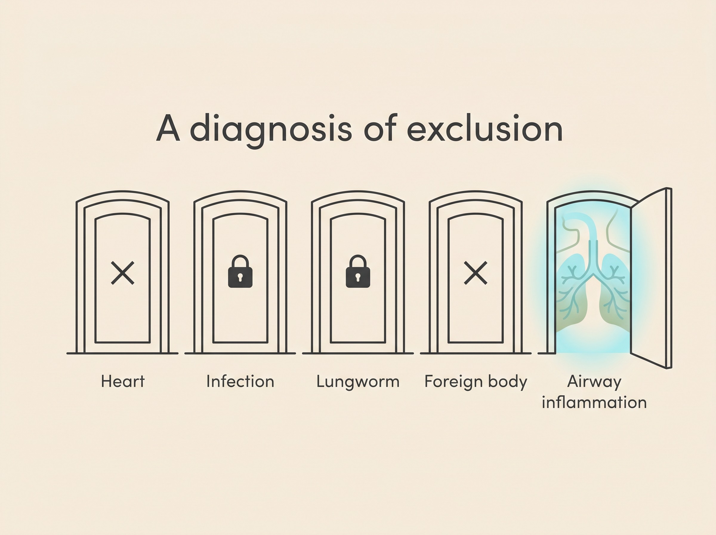 A simple flat-vector card on cream titled “A diagnosis of exclusion”, showing four labelled doors being closed in turn, “Heart”, “Infection”, “Lungworm”, “Foreign body”, leaving a fifth open door reading “Airway inflammation”