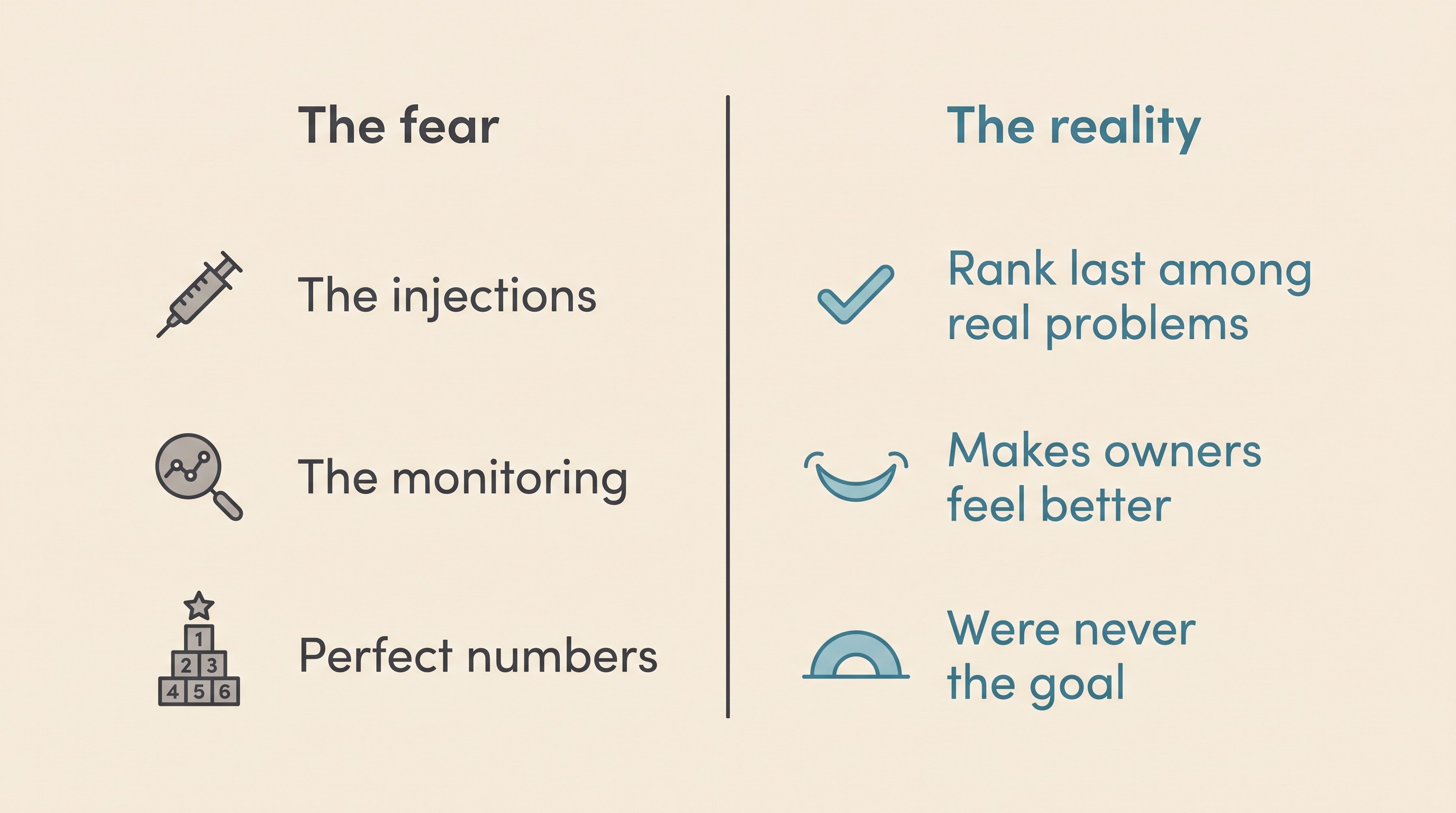 An illustration showing the three common fears of diabetic care, each paired with the reassuring reality from the evidence