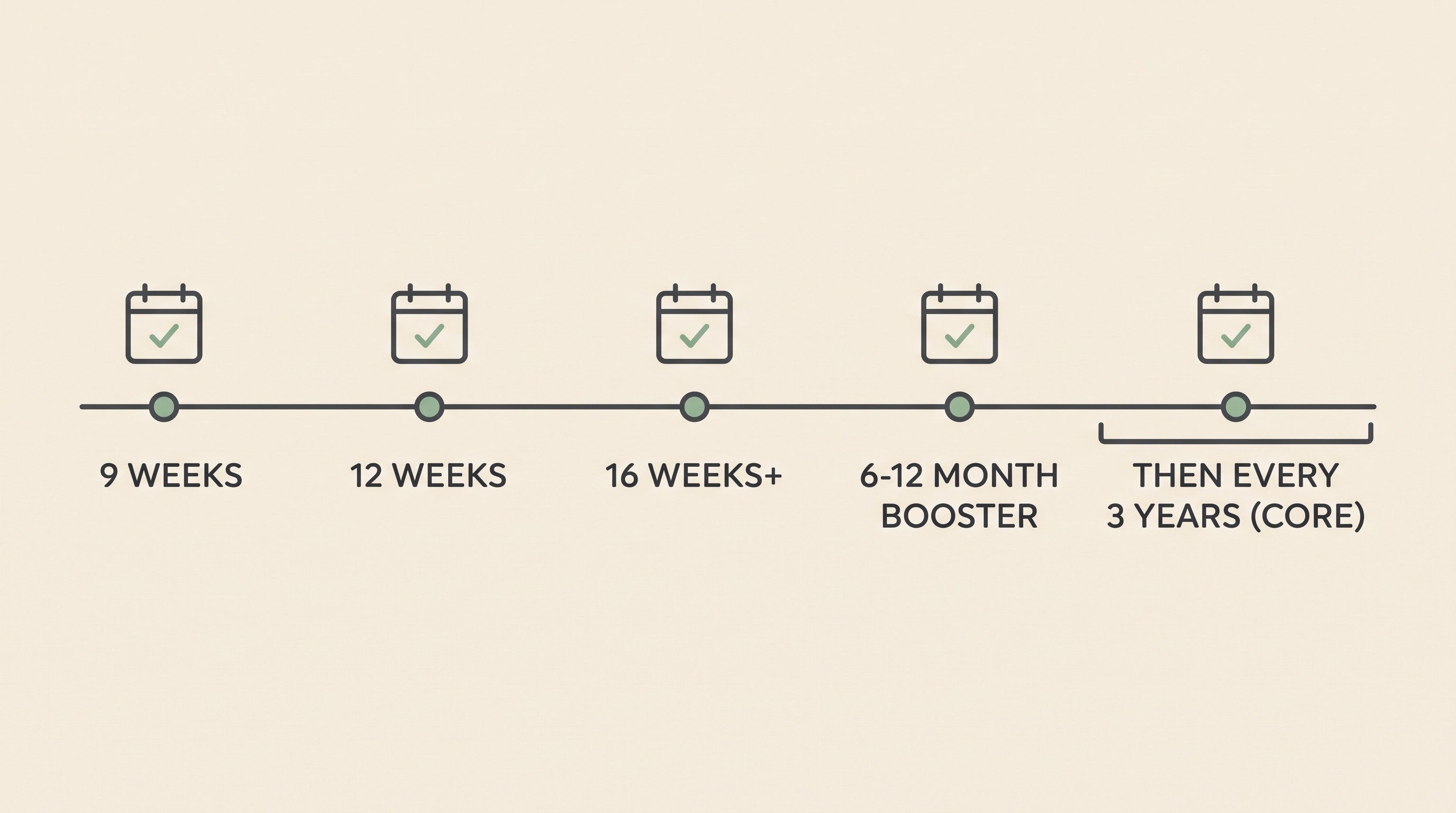 A timeline strip reading 9 WEEKS, 12 WEEKS, 16 WEEKS PLUS, 6 TO 12 MONTH BOOSTER, then THEN EVERY 3 YEARS (CORE)