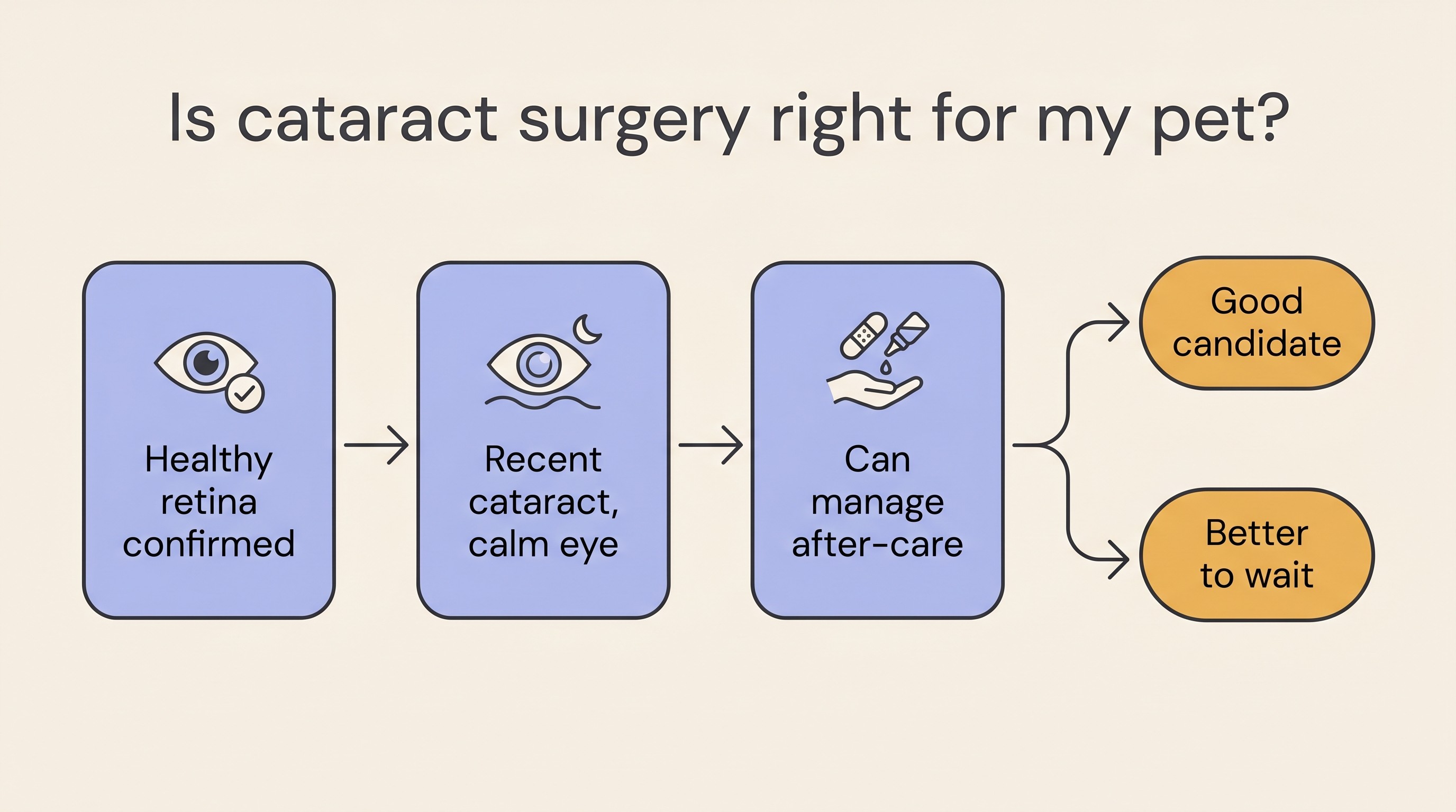Flat decision-flow illustration on a cream background titled "Is cataract surgery right for my pet?", showing three gates, a healthy retina confirmed by ERG and ultrasound, a recent cataract with controlled inflammation, and a pet that can manage the after-care, leading to "good candidate" or "better to wait"