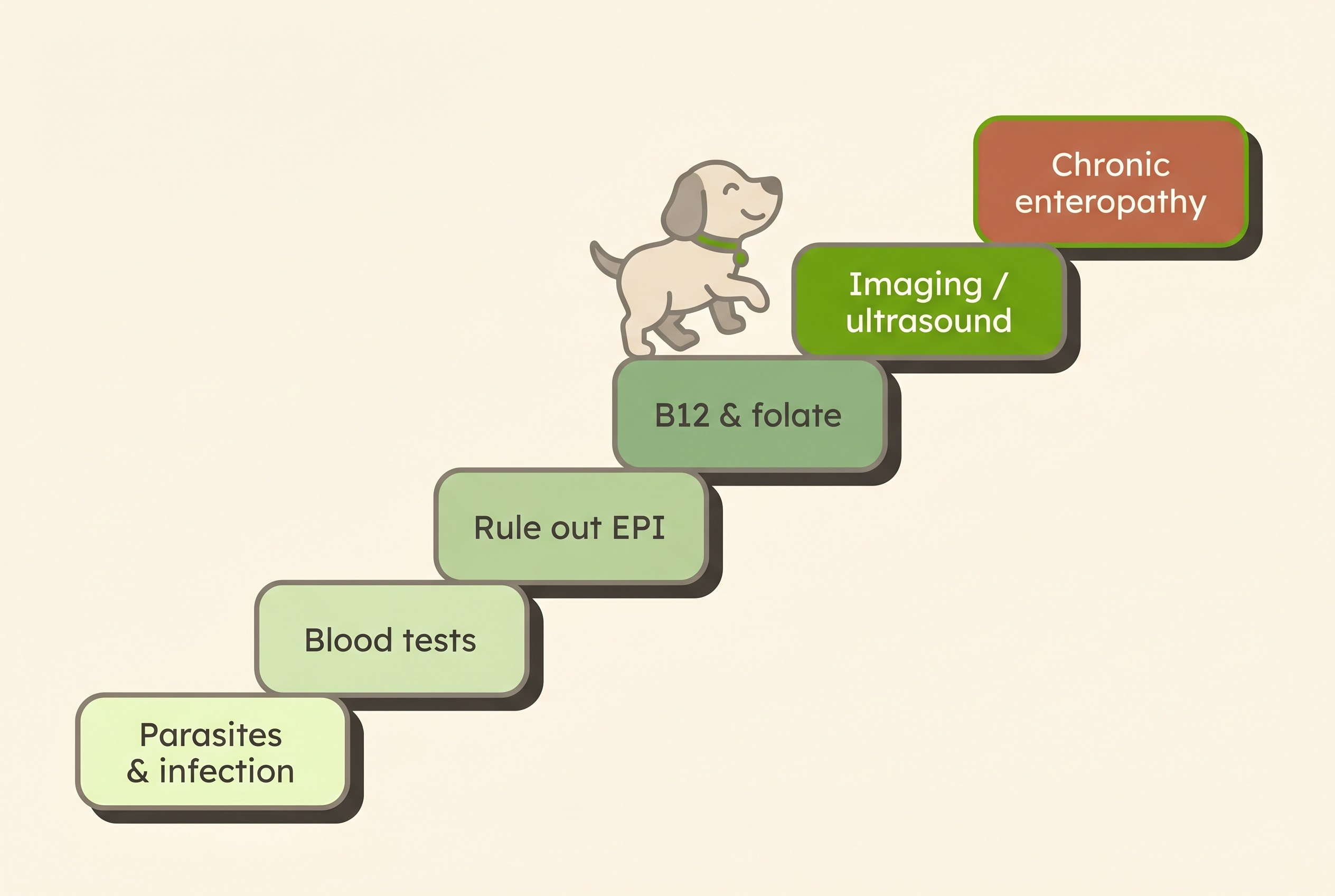 The exclusion staircase that ends in chronic enteropathy