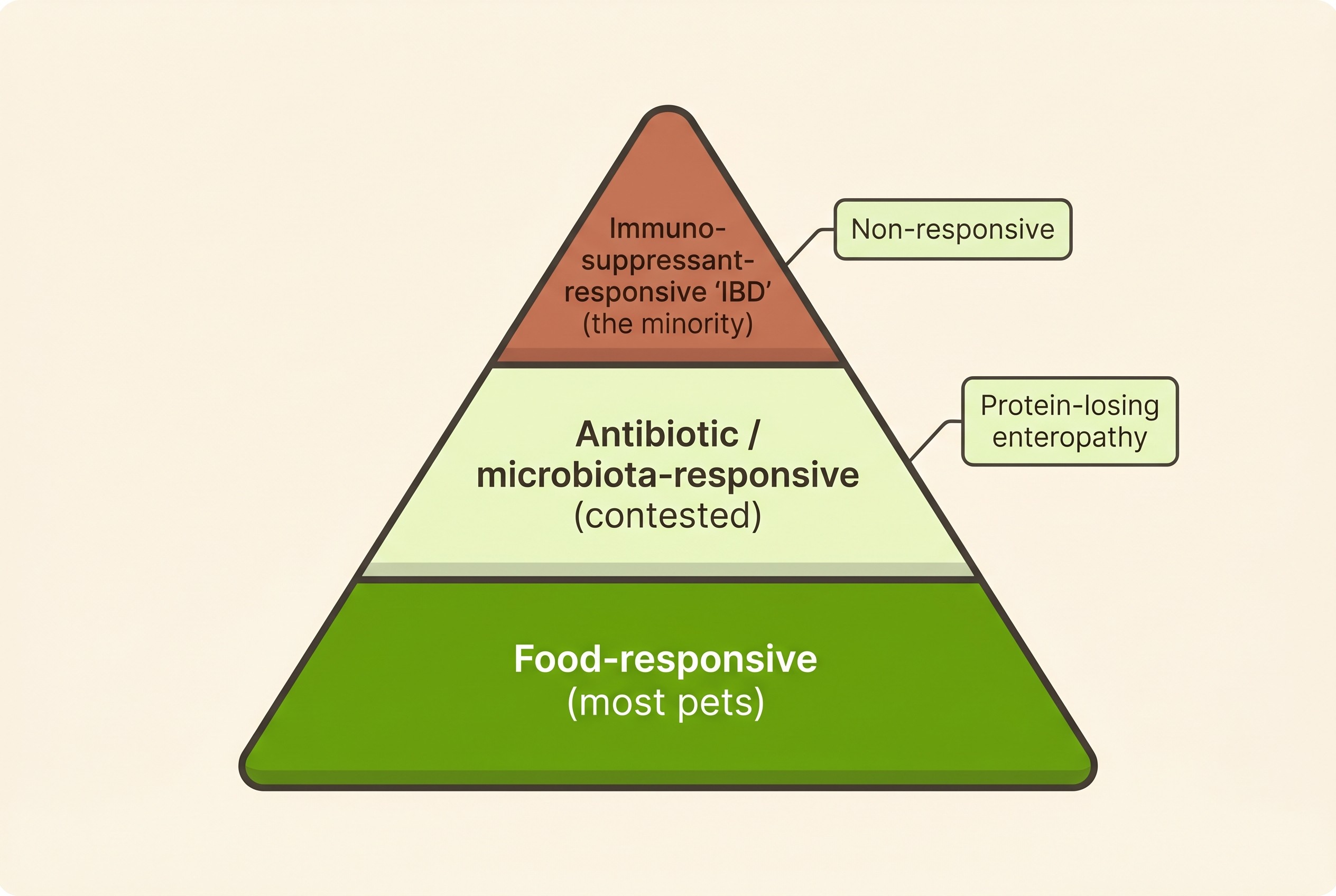 A pyramid with food-responsive enteropathy as the wide base, contested antibiotic or microbiota-responsive disease in the middle, and immunosuppressant-responsive "IBD" at the narrow tip, with non-responsive and protein-losing enteropathy noted alongside