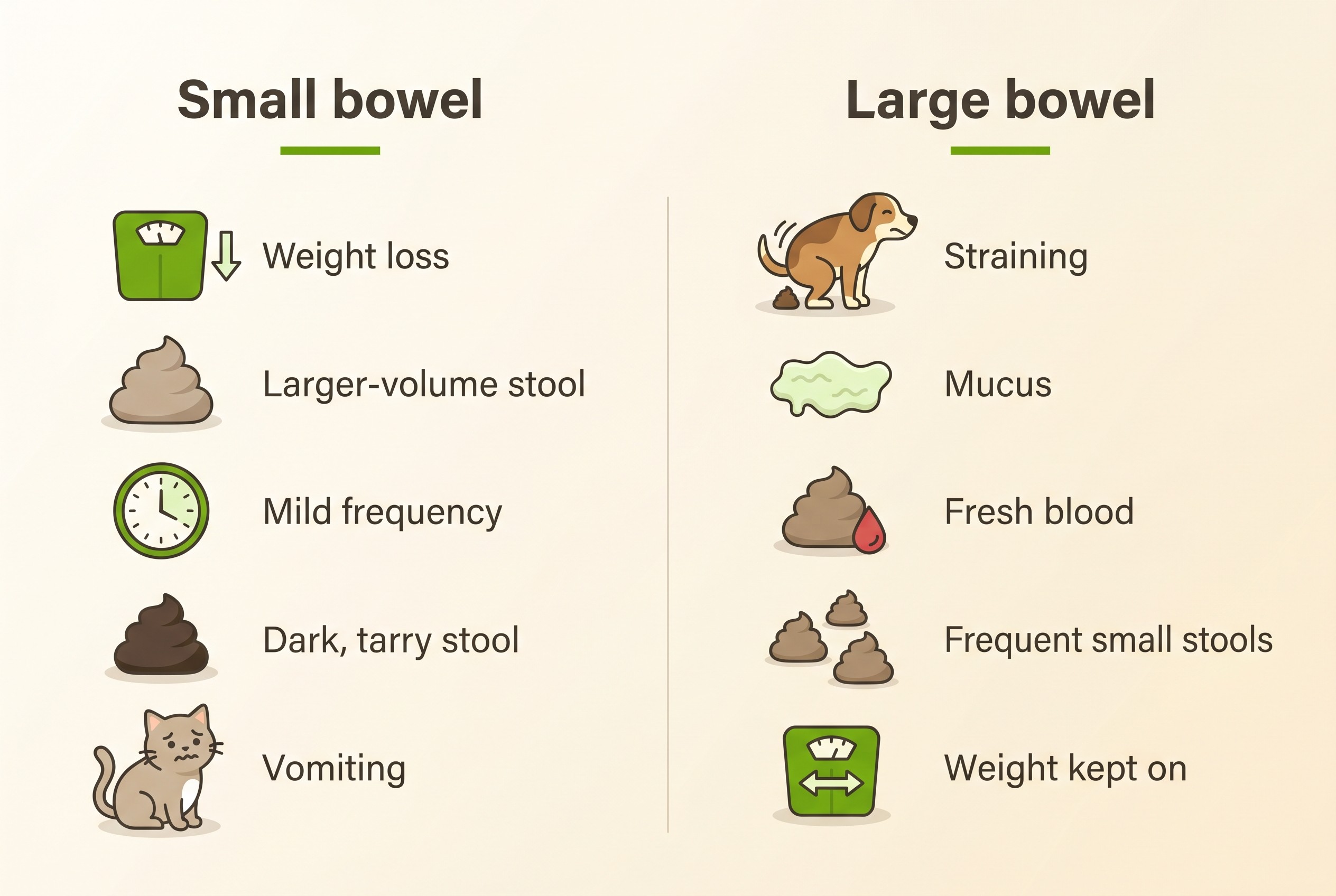 Two simple columns contrasting small-bowel signs (weight loss, larger-volume stool, mild frequency, dark tarry stool, vomiting) with large-bowel signs (straining, mucus, fresh blood, frequent small stools, weight kept on)