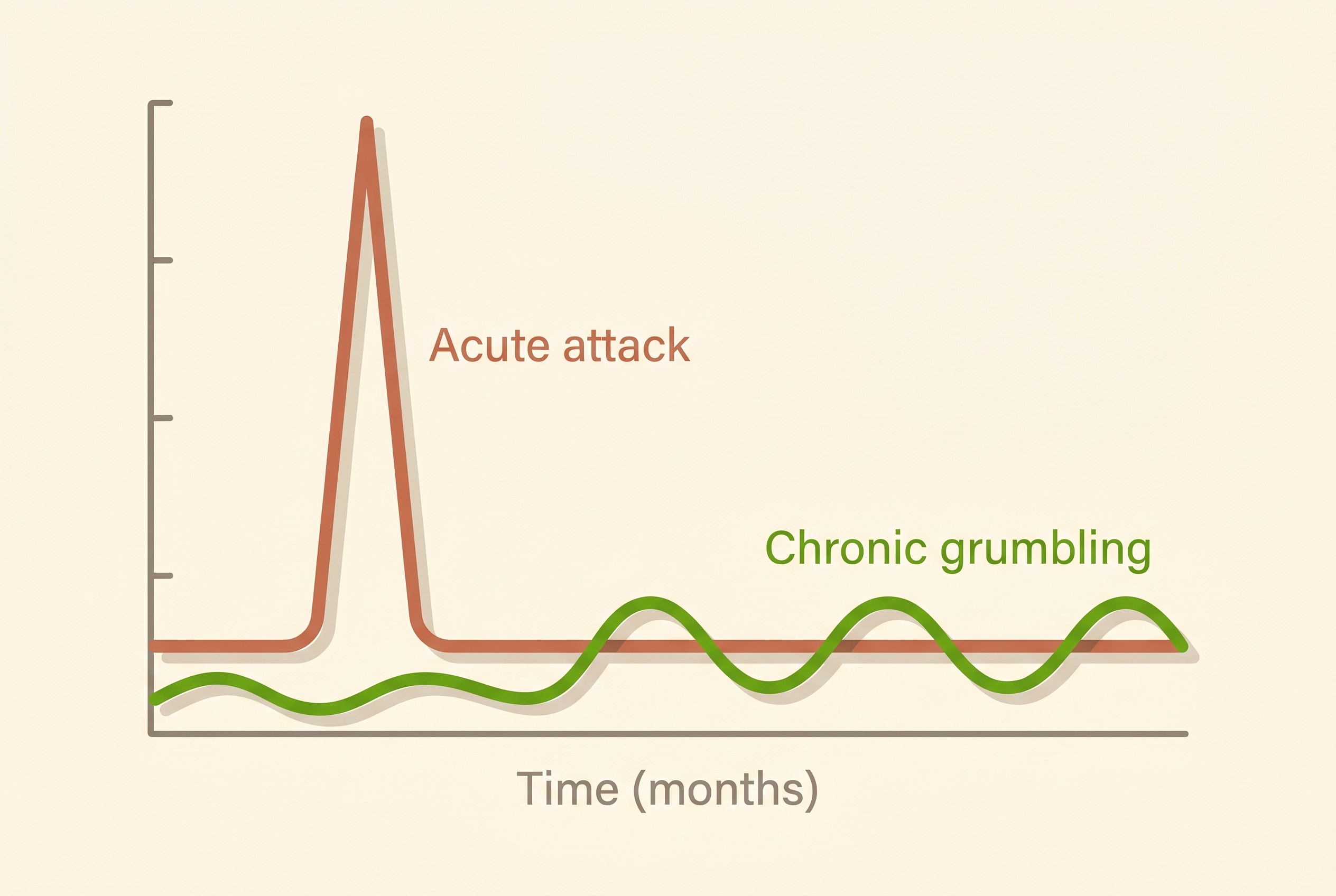 A graph contrasting a single sharp acute pancreatitis attack with the low, recurrent grumbling line of chronic pancreatitis