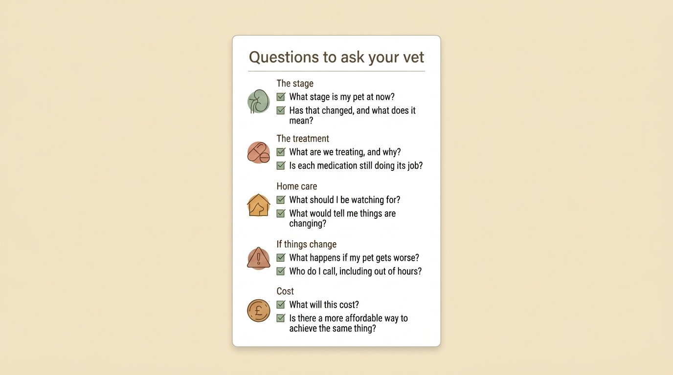 A labelled question checklist card grouped by theme