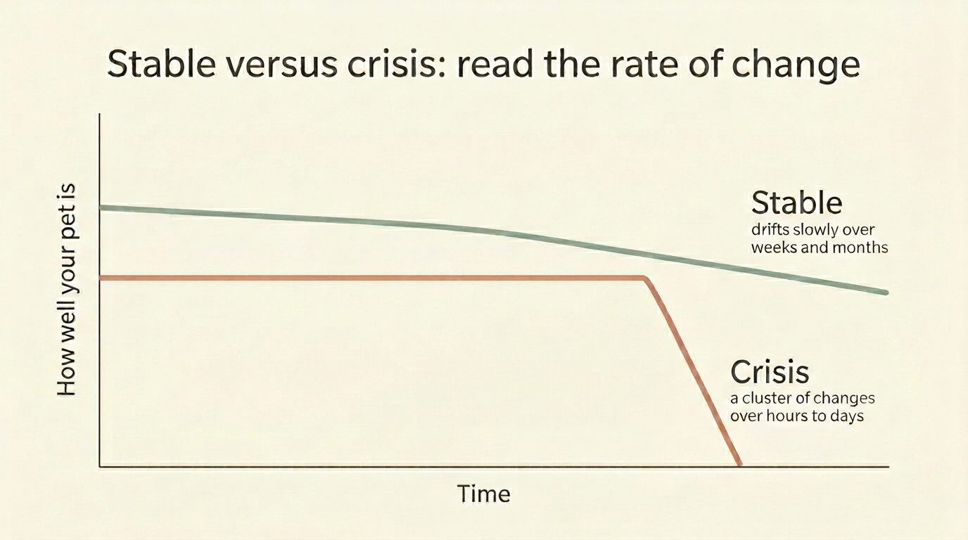 Two trajectory lines contrasting a slow stable drift with a sharp crisis change