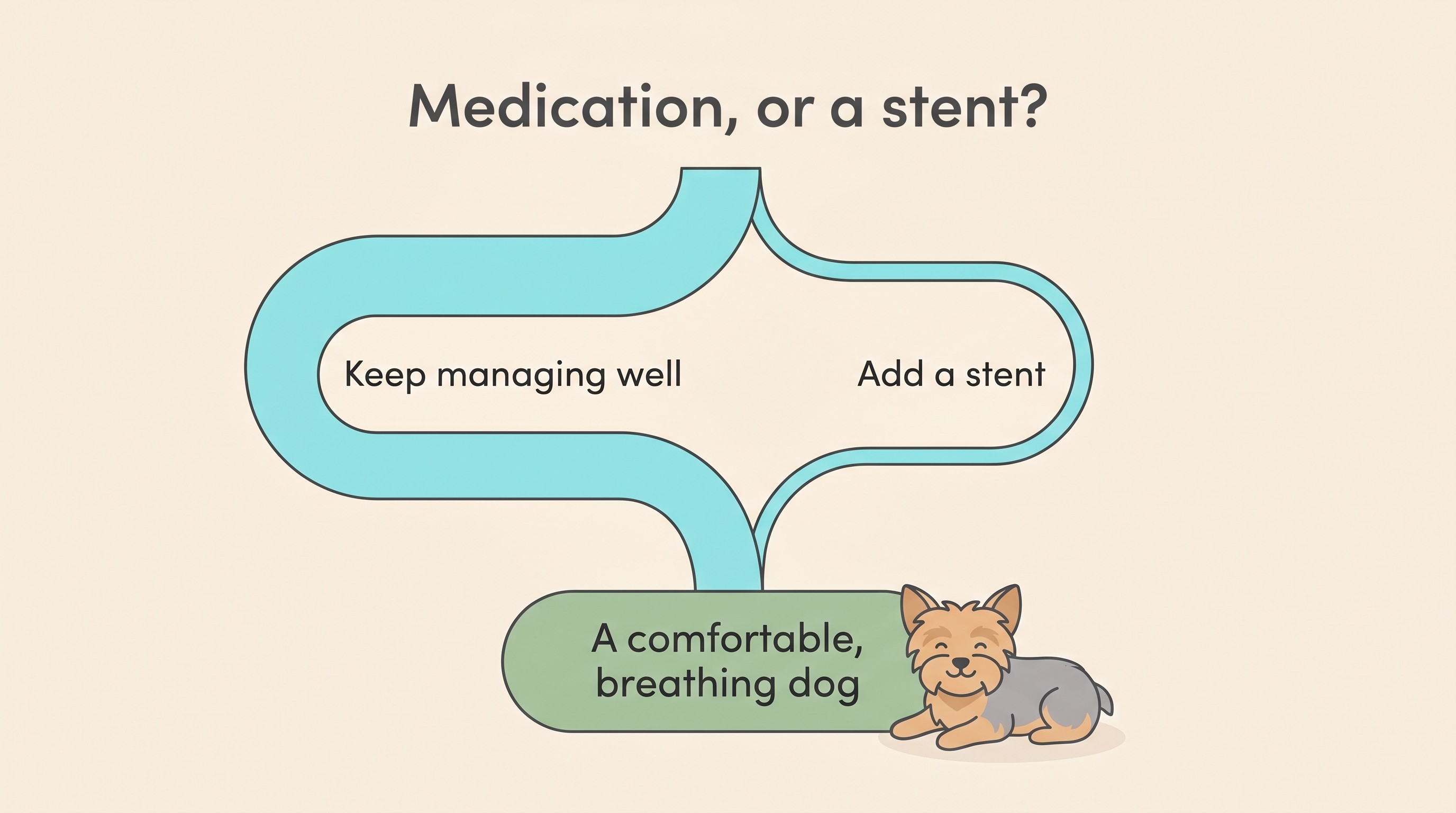 Flat vector decision card on cream, two routes labelled ‘Keep managing well’ and ‘Add a stent’ converging on a band reading ‘A comfortable, breathing dog’, headed ‘Medication, or a stent?’