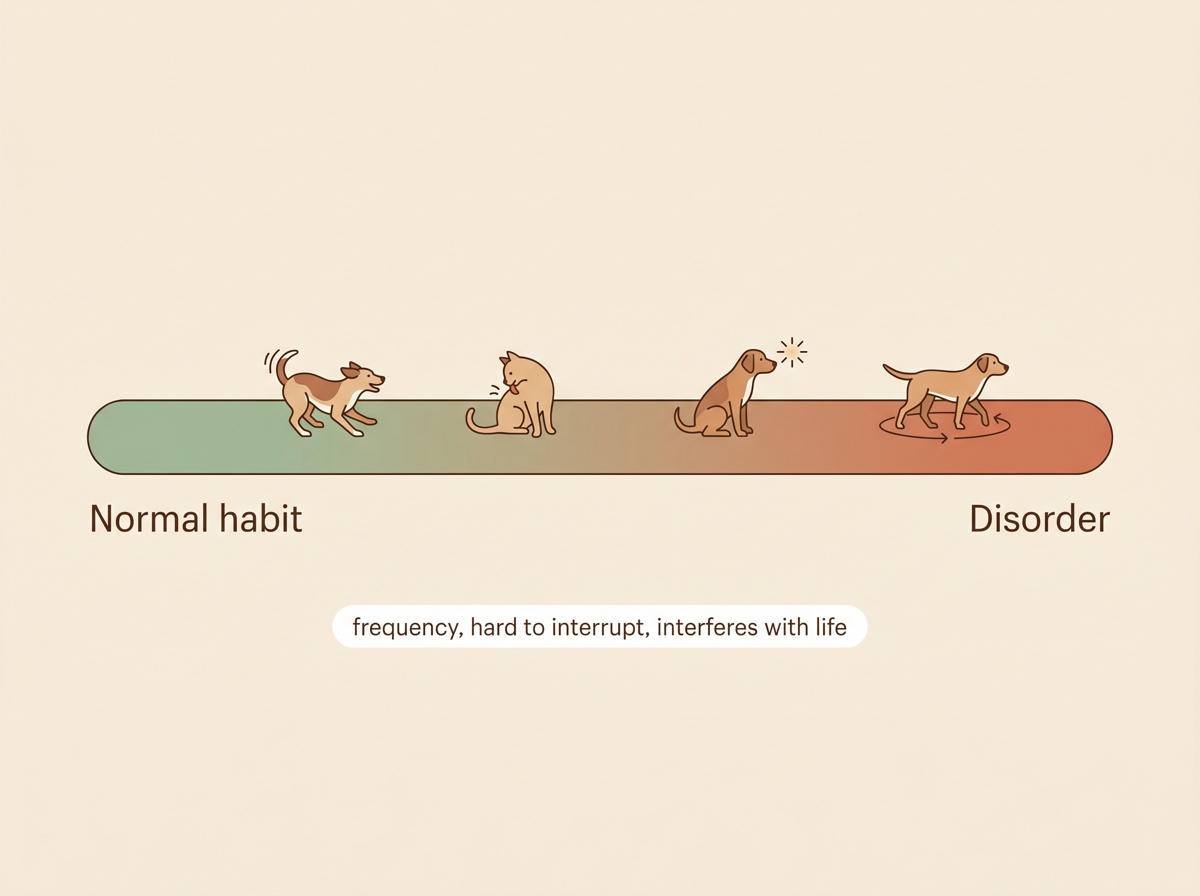 Common compulsive behaviours in dogs and cats arranged on a spectrum from normal habit to disorder