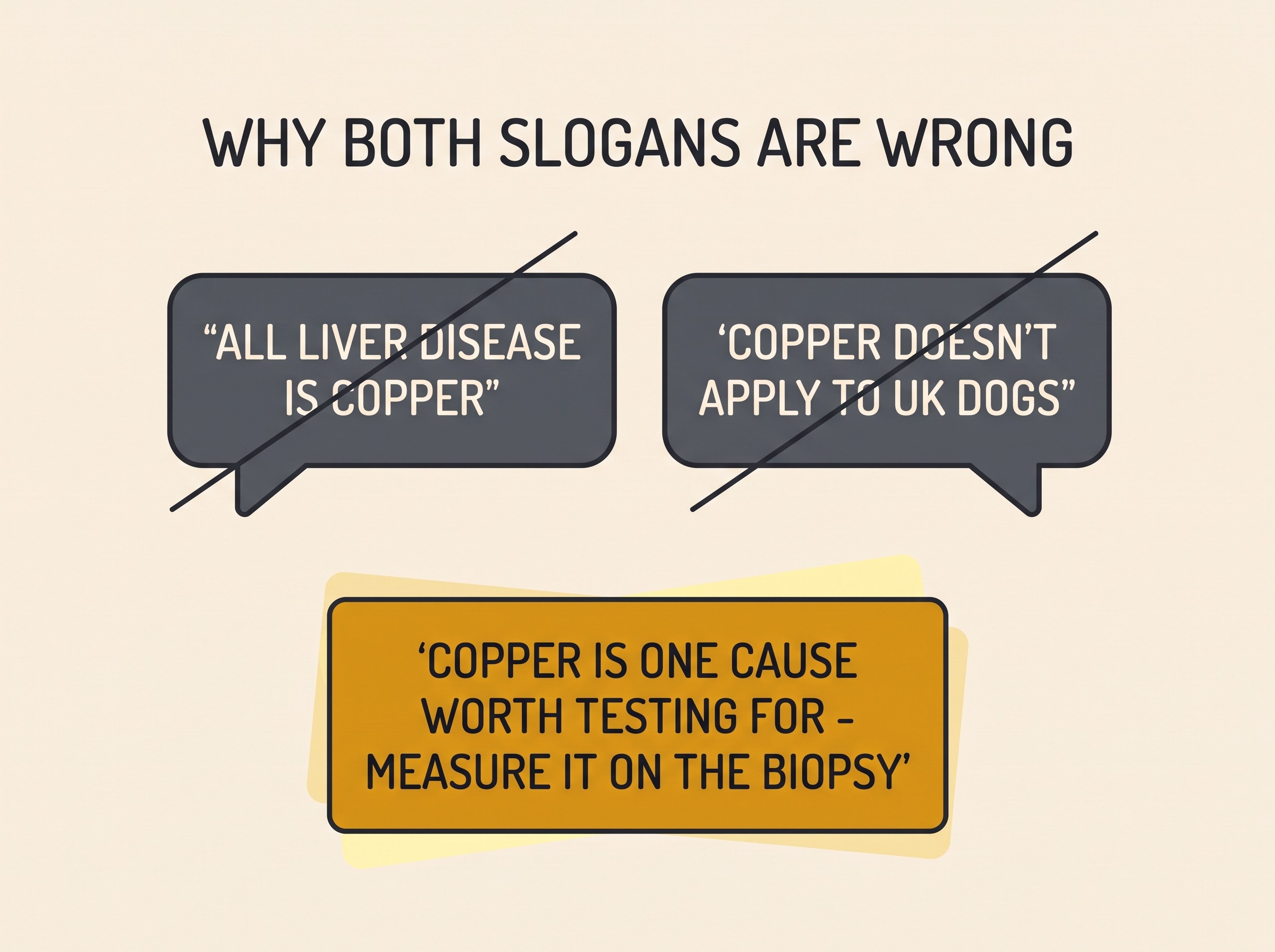 Flat vector diagram on a cream background titled "WHY BOTH SLOGANS ARE WRONG", showing two crossed-out speech bubbles in muted charcoal: one reading "ALL LIVER DISEASE IS COPPER", the other reading "COPPER DOESN'T APPLY TO UK DOGS". Below them, a single amber-highlighted card reads "COPPER IS ONE CAUSE WORTH TESTING FOR - MEASURE IT ON THE BIOPSY". Soft charcoal linework, no distressing imagery