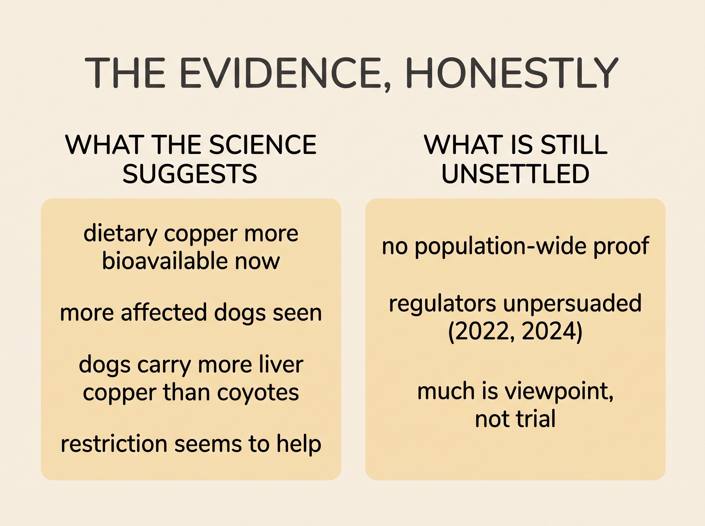 Flat vector diagram on a cream background titled "THE EVIDENCE, HONESTLY", showing two amber-accented columns. Left column headed "WHAT THE SCIENCE SUGGESTS" listing "dietary copper more bioavailable now", "more affected dogs seen", "dogs carry more liver copper than coyotes", "restriction seems to help". Right column headed "WHAT IS STILL UNSETTLED" listing "no population-wide proof", "regulators unpersuaded (2022, 2024)", "much is viewpoint, not trial". Soft charcoal linework, calm and balanced