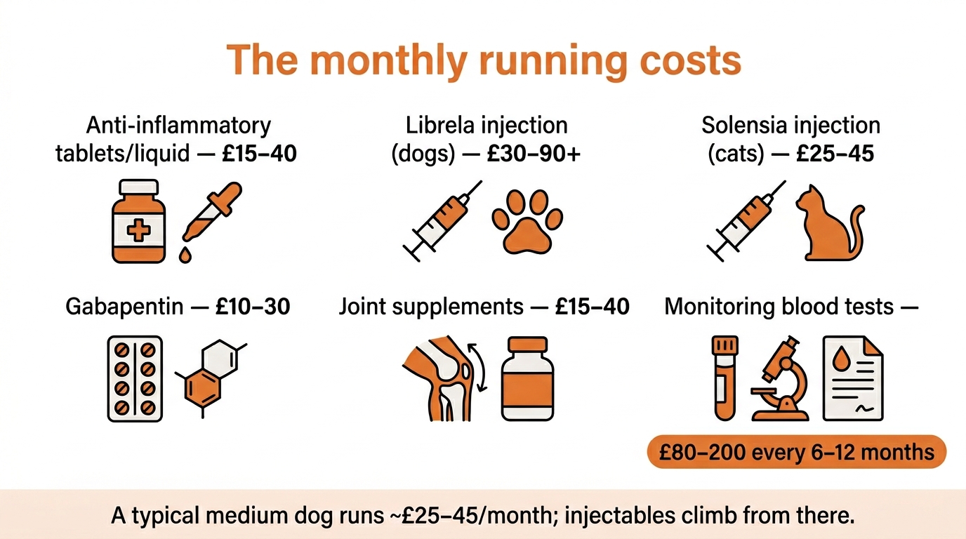 An infographic titled The monthly running costs, listing per-month UK price ranges: anti-inflammatory tablets or liquid £15 to £40, Librela injection for dogs £30 to £90+, Solensia injection for cats £25 to £45, gabapentin £10 to £30, joint supplements £15 to £40, and monitoring blood tests £80 to £200 every 6 to 12 months, soft orange and grey flat design