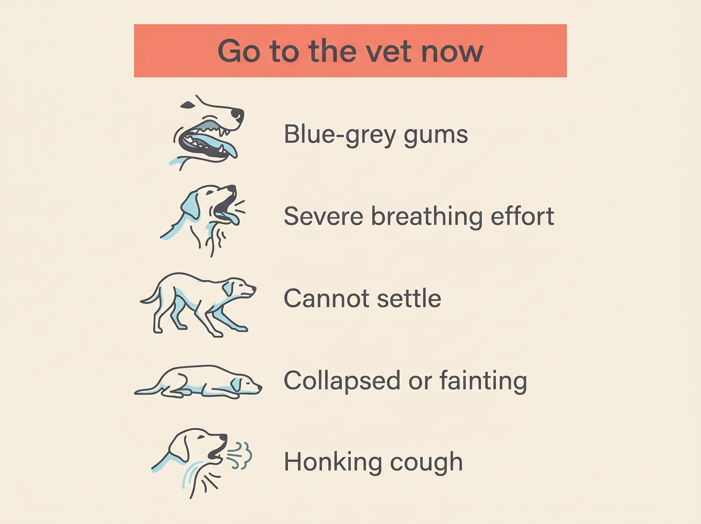 A clear red-flag panel listing the five emergency signs in a coughing dog, in a warm flat-vector style on a cream background with a coral accent