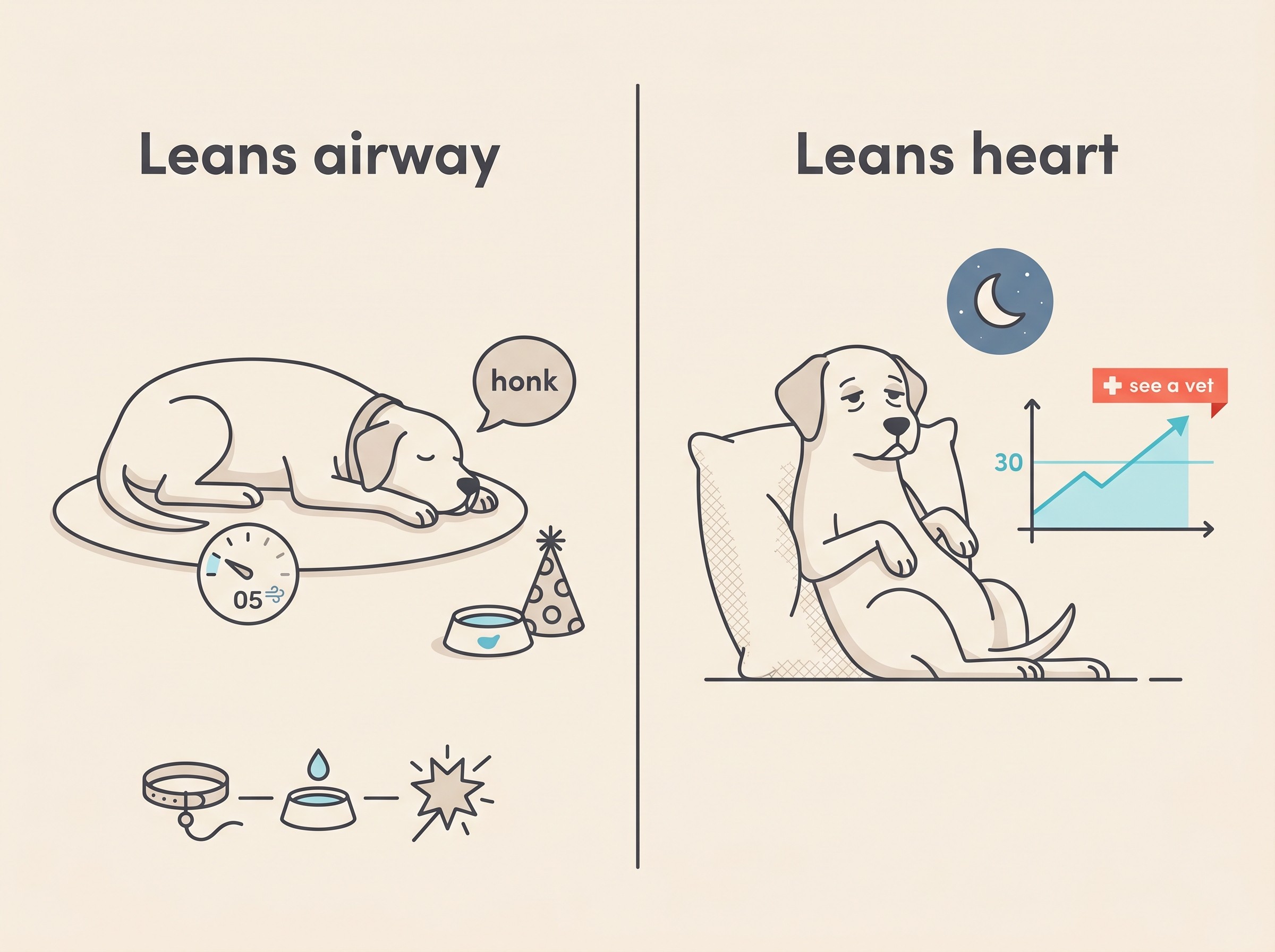 A flat-vector comparison panel on a cream background, two columns headed “Leans airway” and “Leans heart”, the airway side showing a calm sleeping dog with a steady breath count and a small honking-cough symbol, the heart side showing a dog propped upright at night with an upward-trending breath-rate line