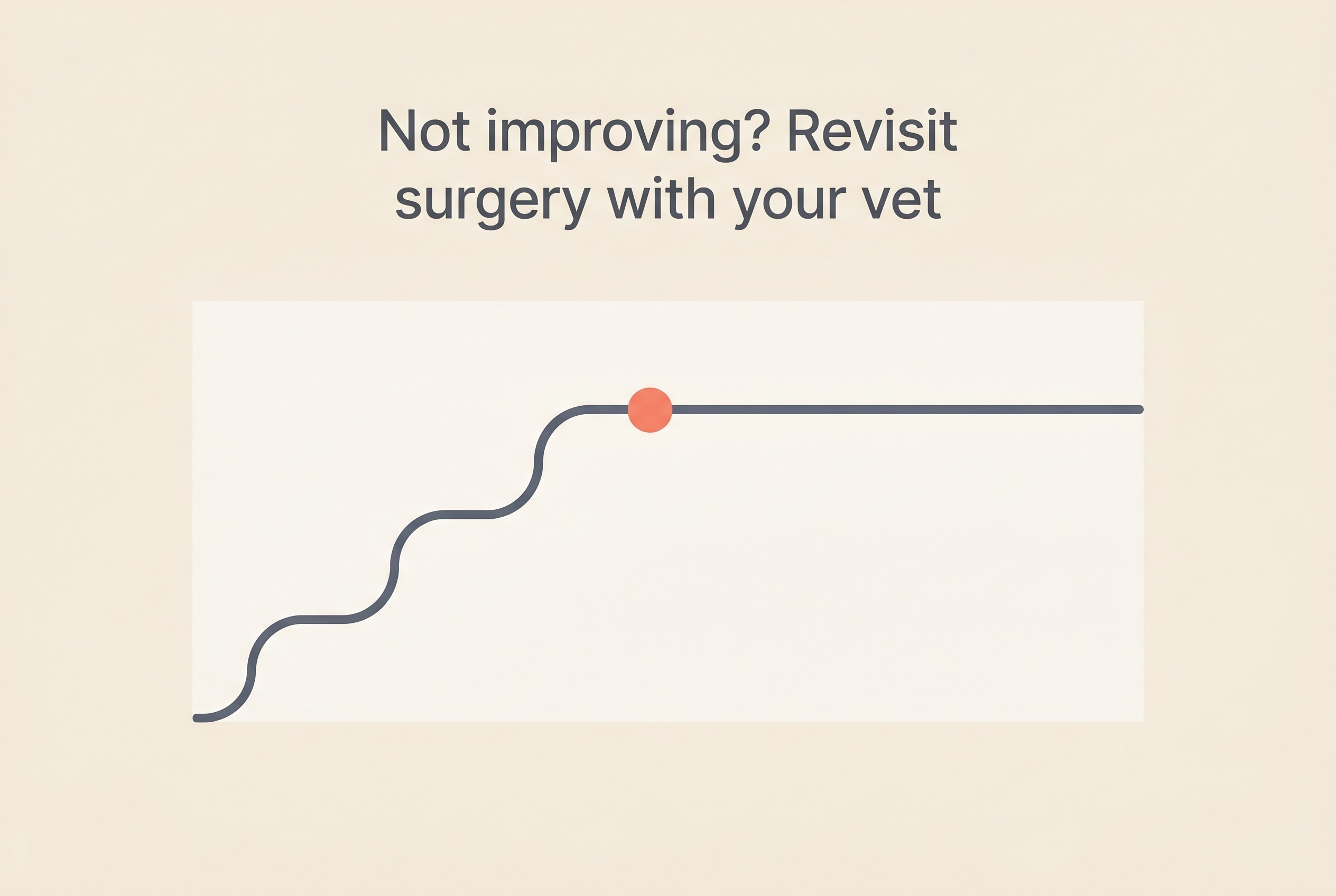 A calm prompt card advising owners to revisit surgery if the dog is not progressing on the expected recovery curve