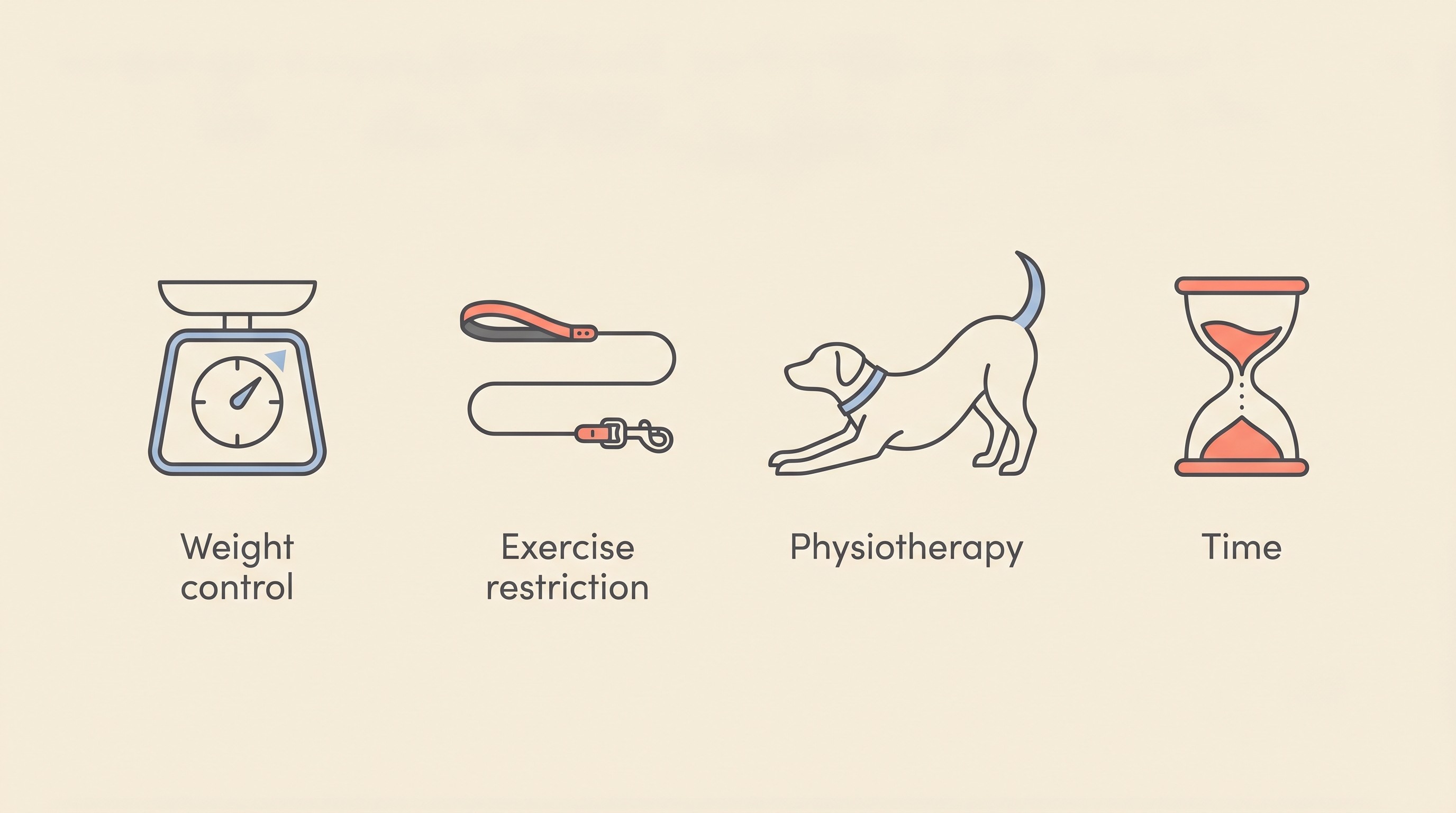 A four-icon row showing the pillars of conservative management: weight control, exercise restriction, physiotherapy and time
