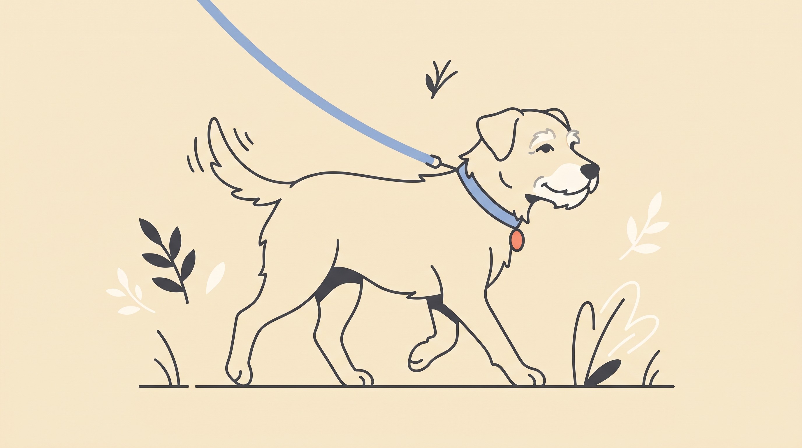 A contented older dog walking comfortably on a lead, flat illustration on a warm cream background