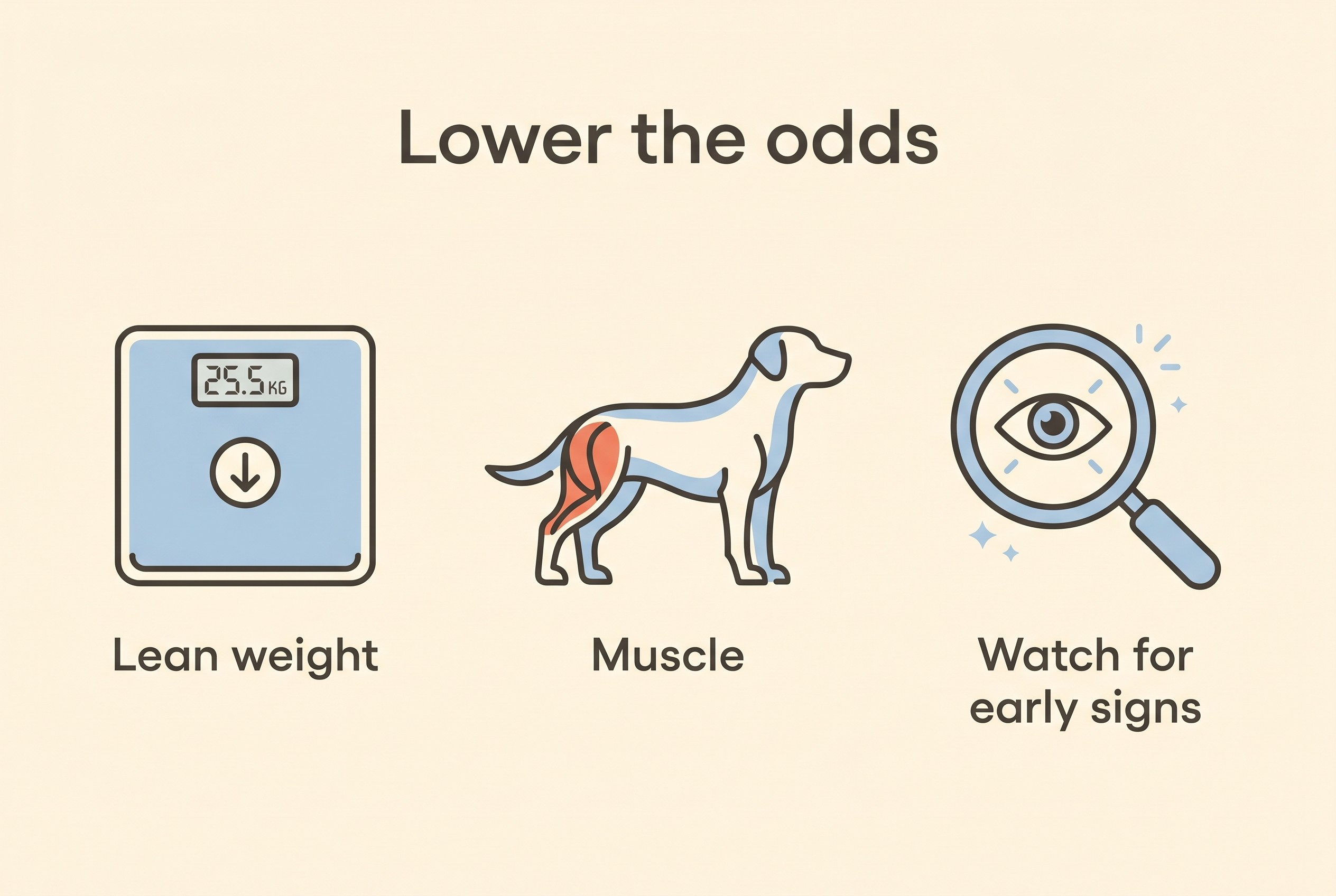 A three-item checklist card with flat icons labelled Lean weight, Muscle, and Watch for early signs, on cream