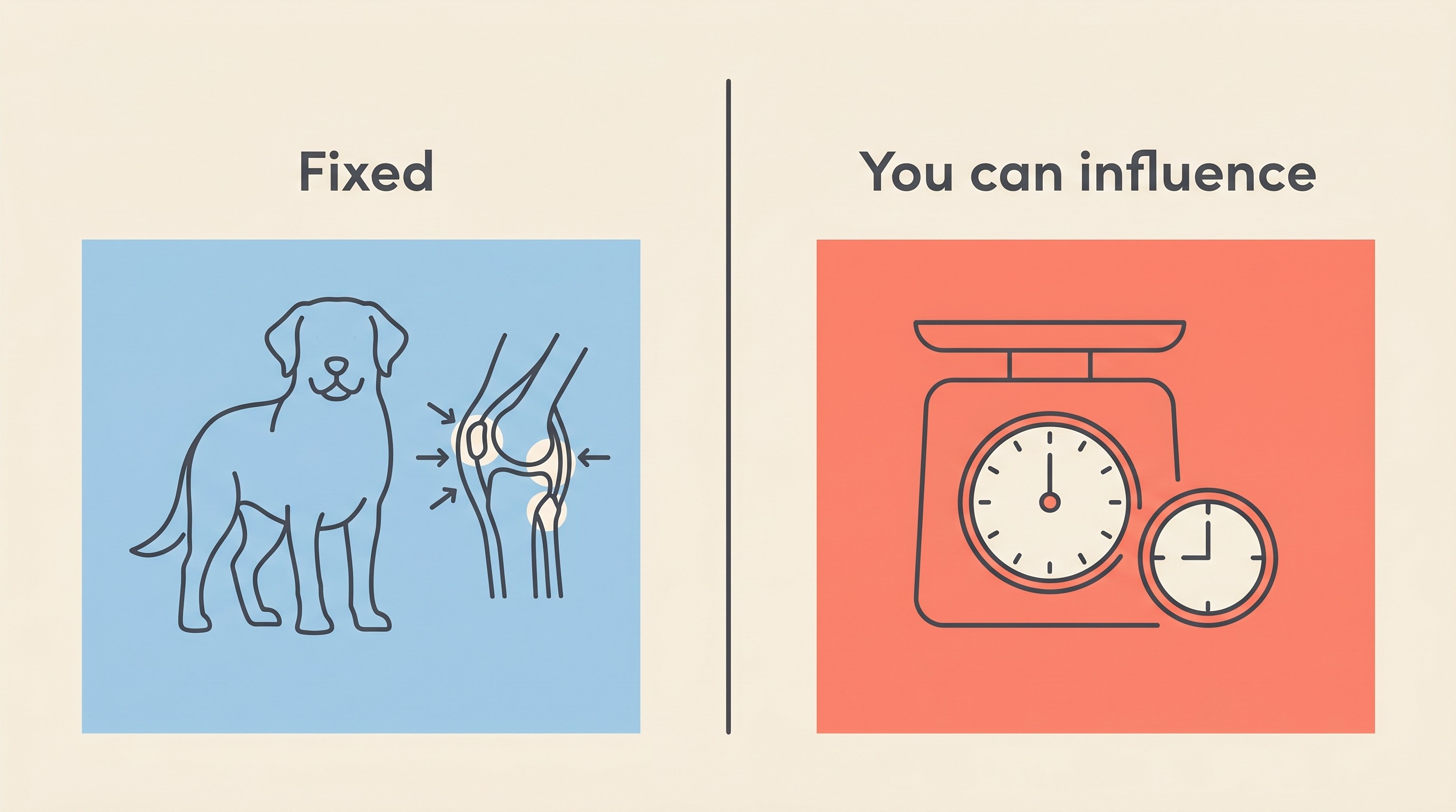 A two-column card contrasting fixed cruciate risk factors with the ones owners can influence