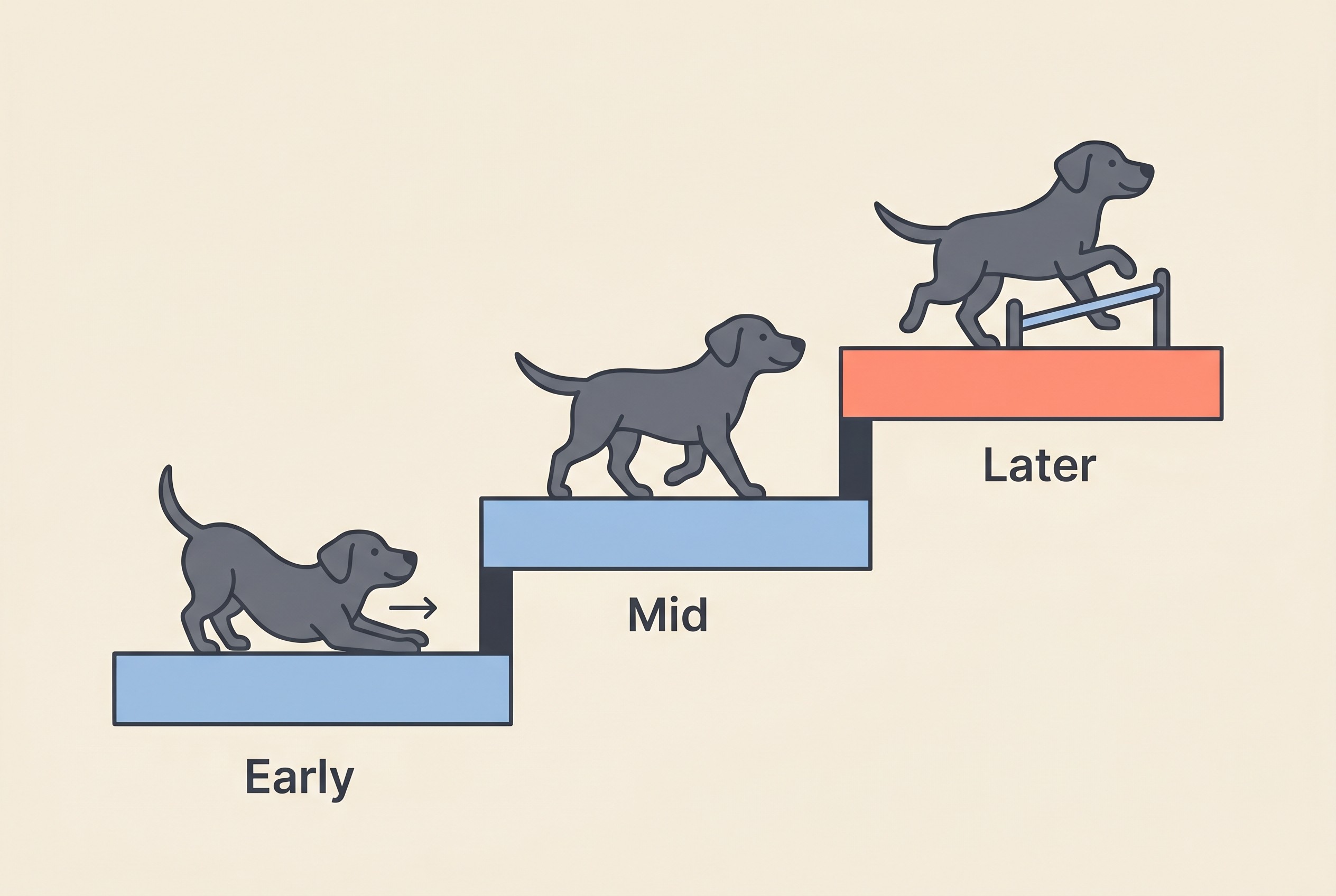 A three-phase home-exercise ladder rising from Early to Mid to Later