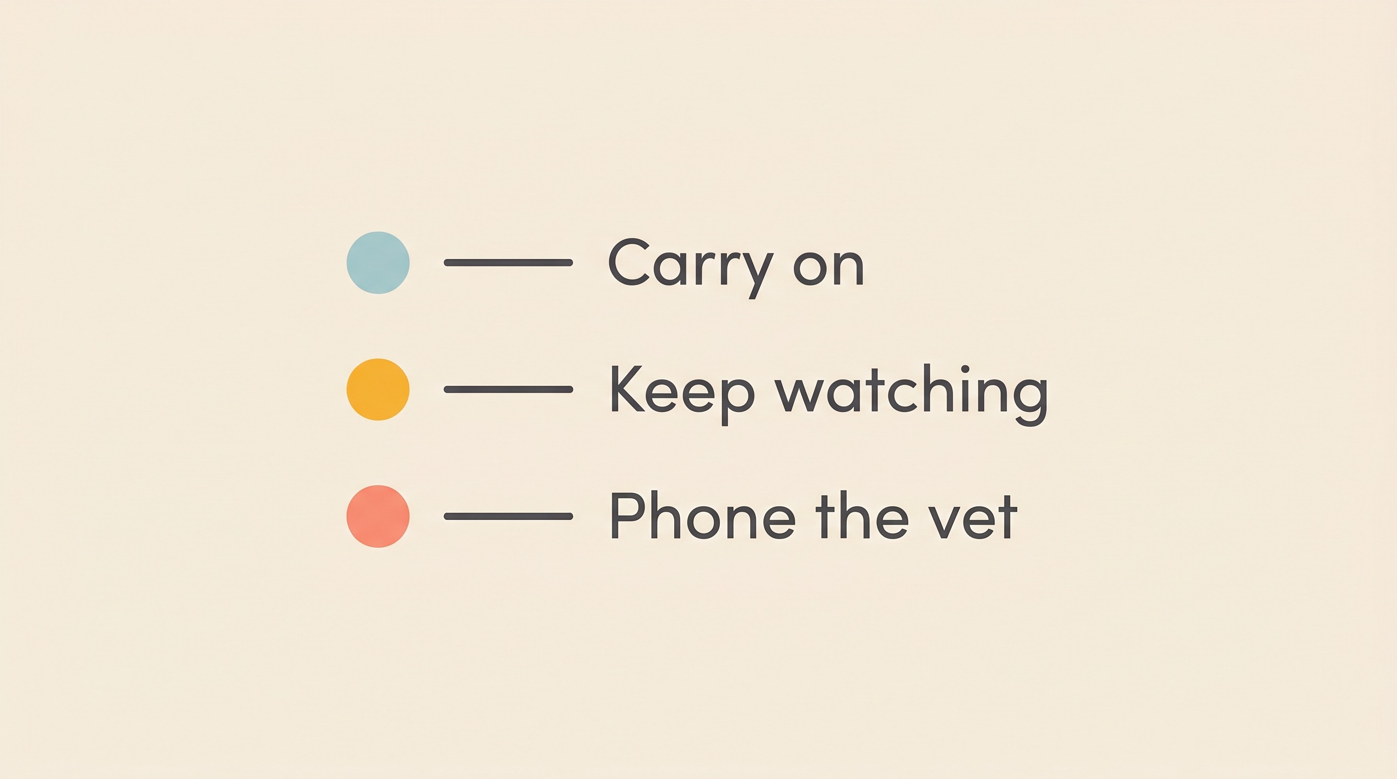 Traffic-light recovery check card showing carry on, keep watching and phone the vet