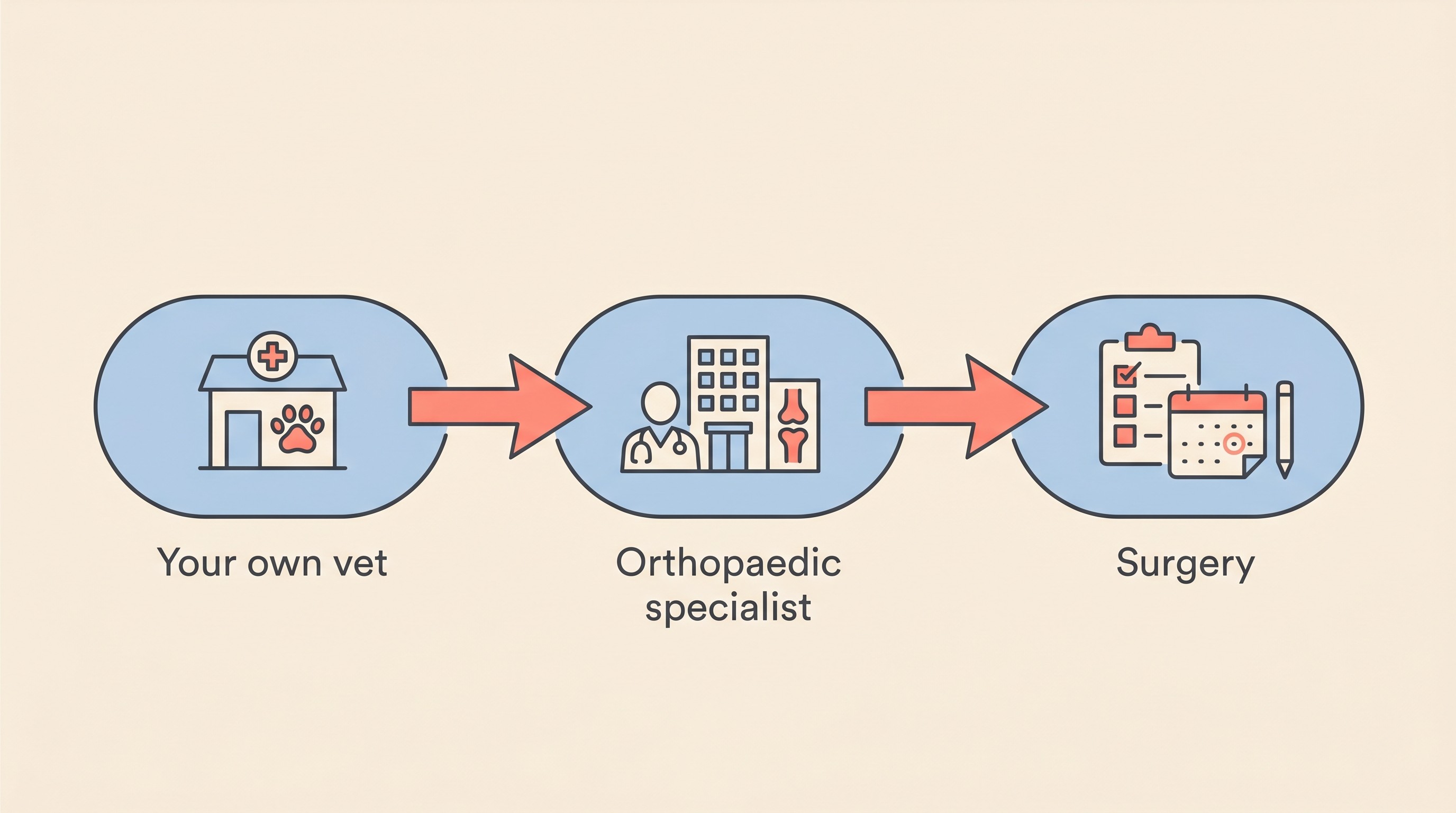 A three-step flow showing a referral pathway, from your own vet to an orthopaedic specialist to surgery