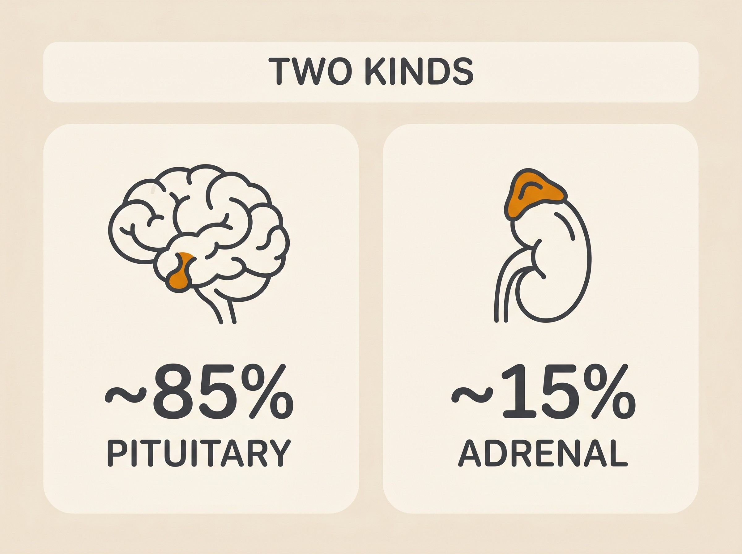 Two kinds of Cushing's, pituitary versus adrenal