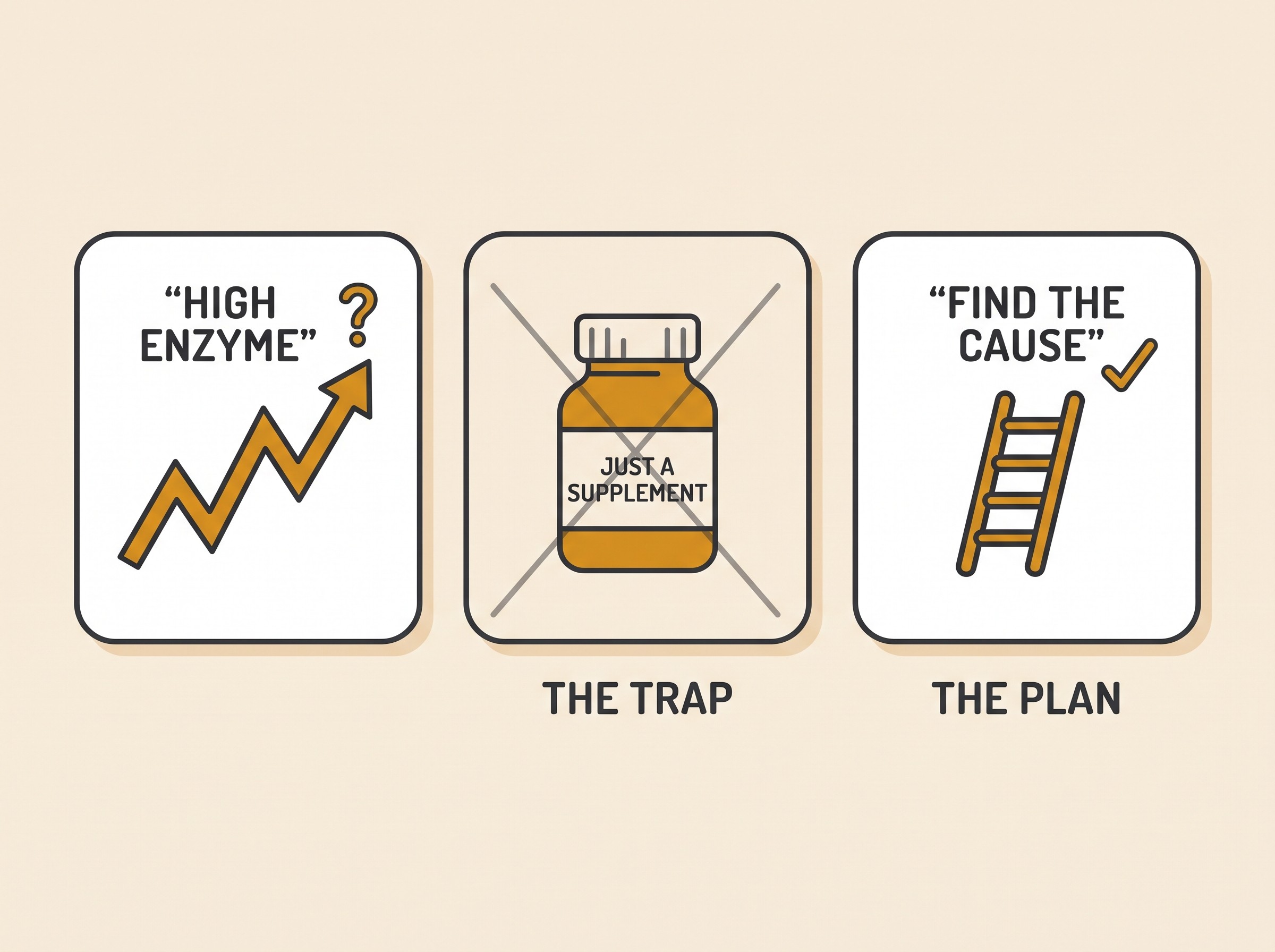 Flat vector on cream. A simple three-panel strip. Panel 1: a raised zig-zag line labelled "HIGH ENZYME" with a small question mark. Panel 2 (crossed out with a soft charcoal X): a pill bottle labelled "JUST A SUPPLEMENT", captioned "THE TRAP". Panel 3 (ticked): a small ladder icon labelled "FIND THE CAUSE", captioned "THE PLAN". Warm amber accents, soft charcoal linework, text verbatim, no photoreal animals.