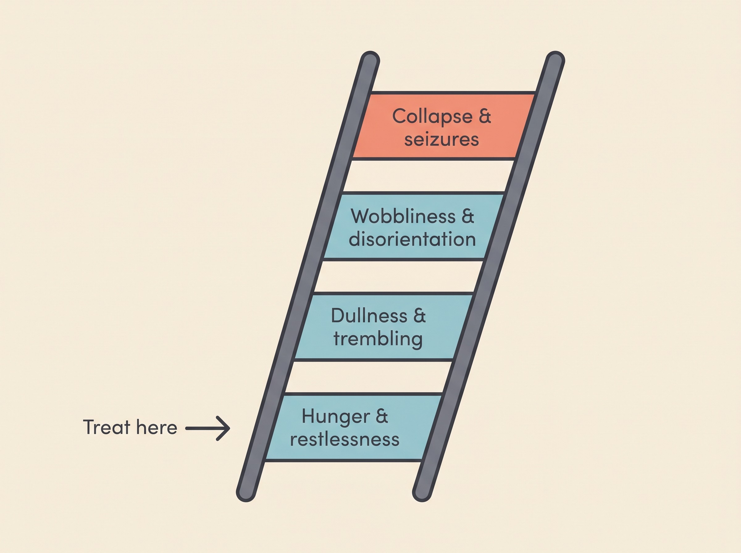 A simple ladder showing hypo signs from mild to severe: hunger and restlessness, then dullness and trembling, then wobbliness and disorientation, then collapse and seizures, with an arrow marking treat at the first rung