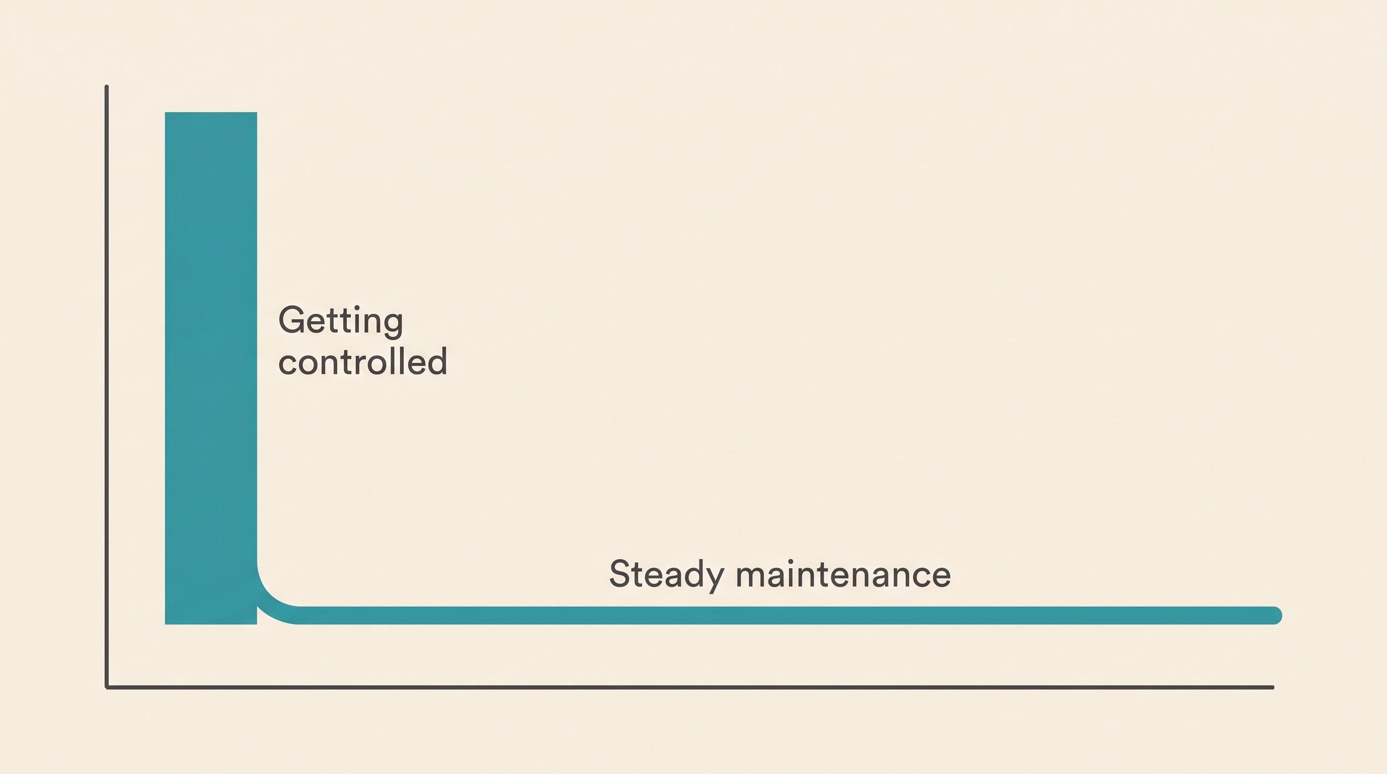 Bar-and-line graphic on cream: a tall front-loaded "getting controlled" cost bar dropping to a low flat "steady maintenance" line