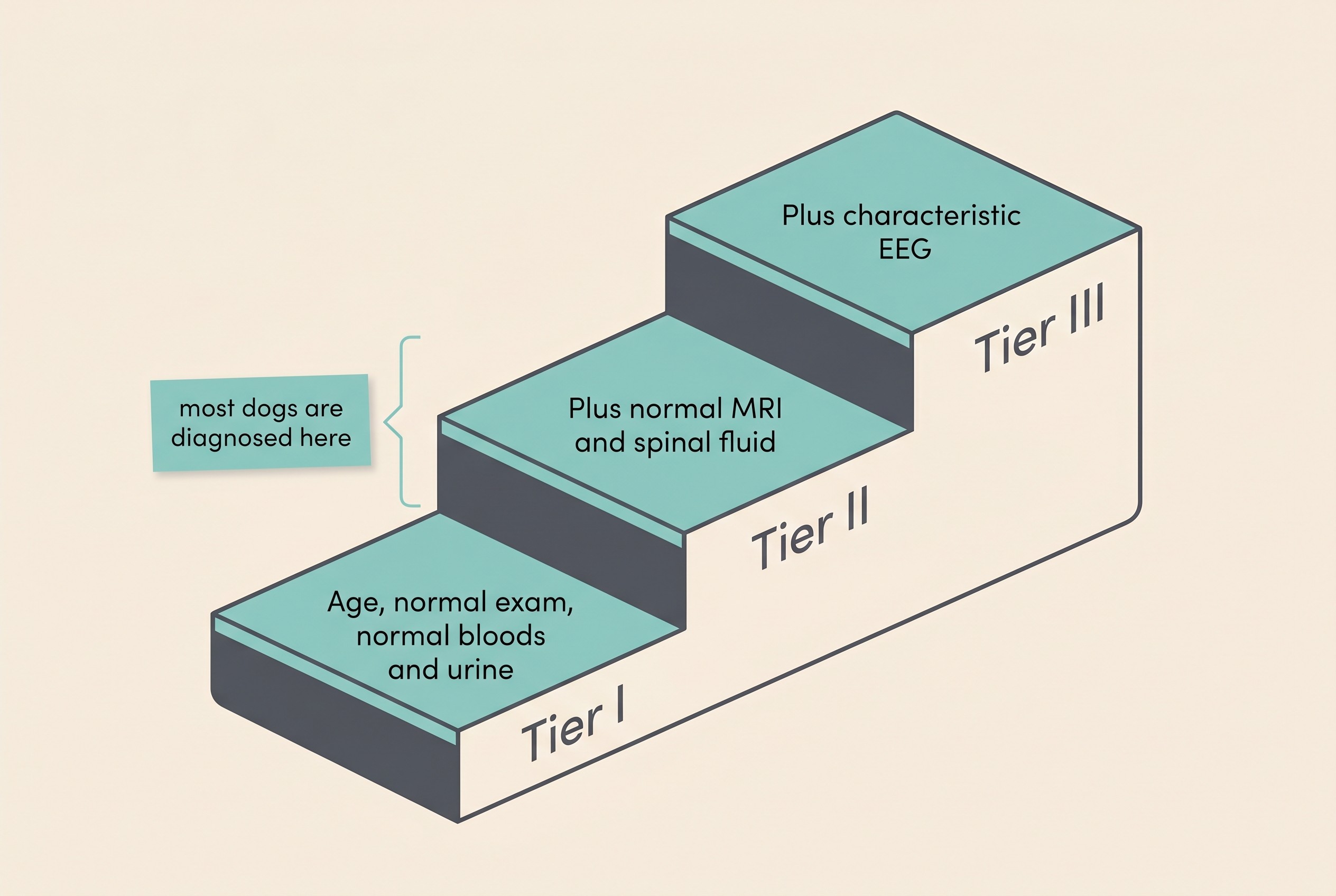 A flat illustration on a cream background showing three ascending steps labelled "Tier I", "Tier II" and "Tier III"; the Tier I step reads "Age, normal exam, normal bloods and urine", the Tier II step reads "Plus normal MRI and spinal fluid", the Tier III step reads "Plus characteristic EEG", with a small note beside Tier I and II reading "most dogs are diagnosed here"
