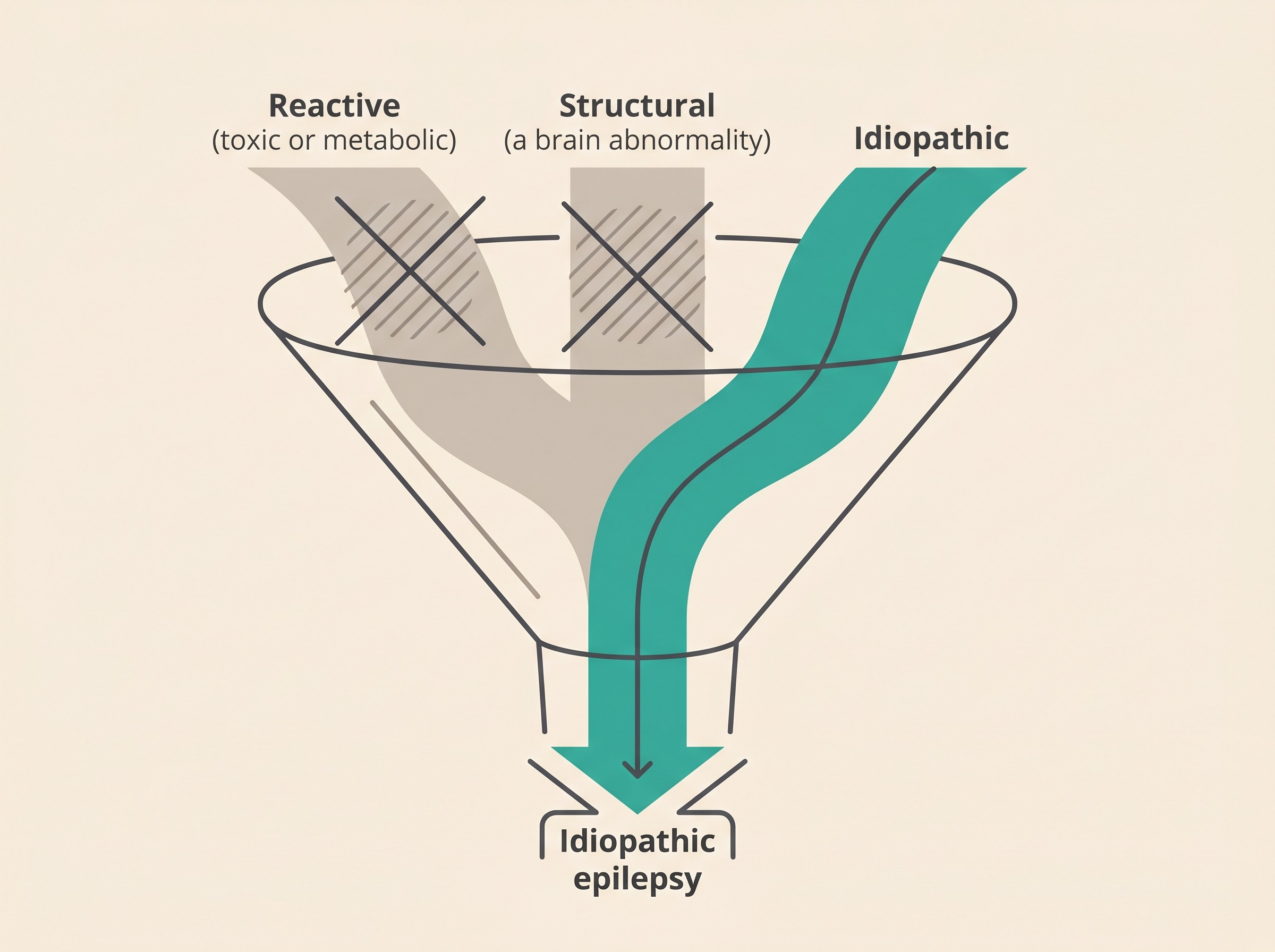 A flat illustration on a cream background showing a funnel: at the wide top, three labelled streams reading "Reactive (toxic or metabolic)", "Structural (a brain abnormality)" and "Idiopathic"; the reactive and structural streams are crossed through as ruled out, and only "Idiopathic epilepsy" passes through to the narrow base