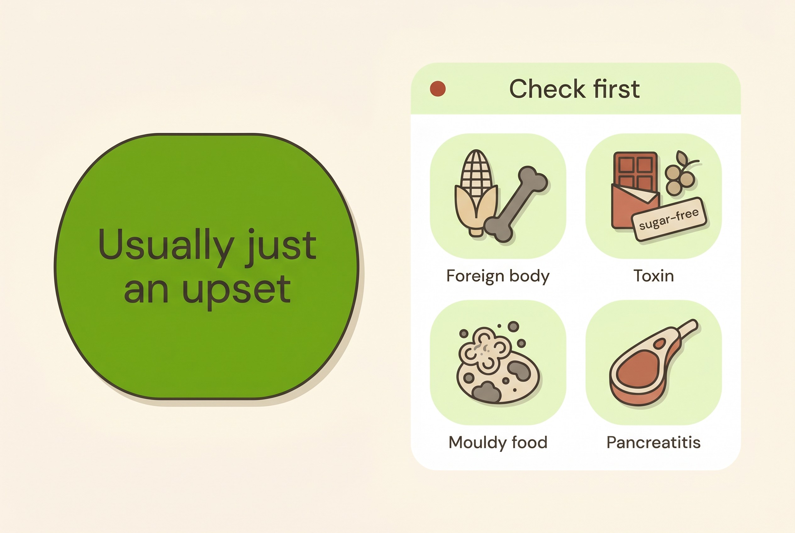 Flat icons on cream showing the calm majority of self-limiting upsets alongside four items to check first: a corn cob and bone for foreign body, chocolate and grapes and a sugar-free label for toxins, mouldy food for tremorgenic mycotoxins, and a fatty chop for pancreatitis