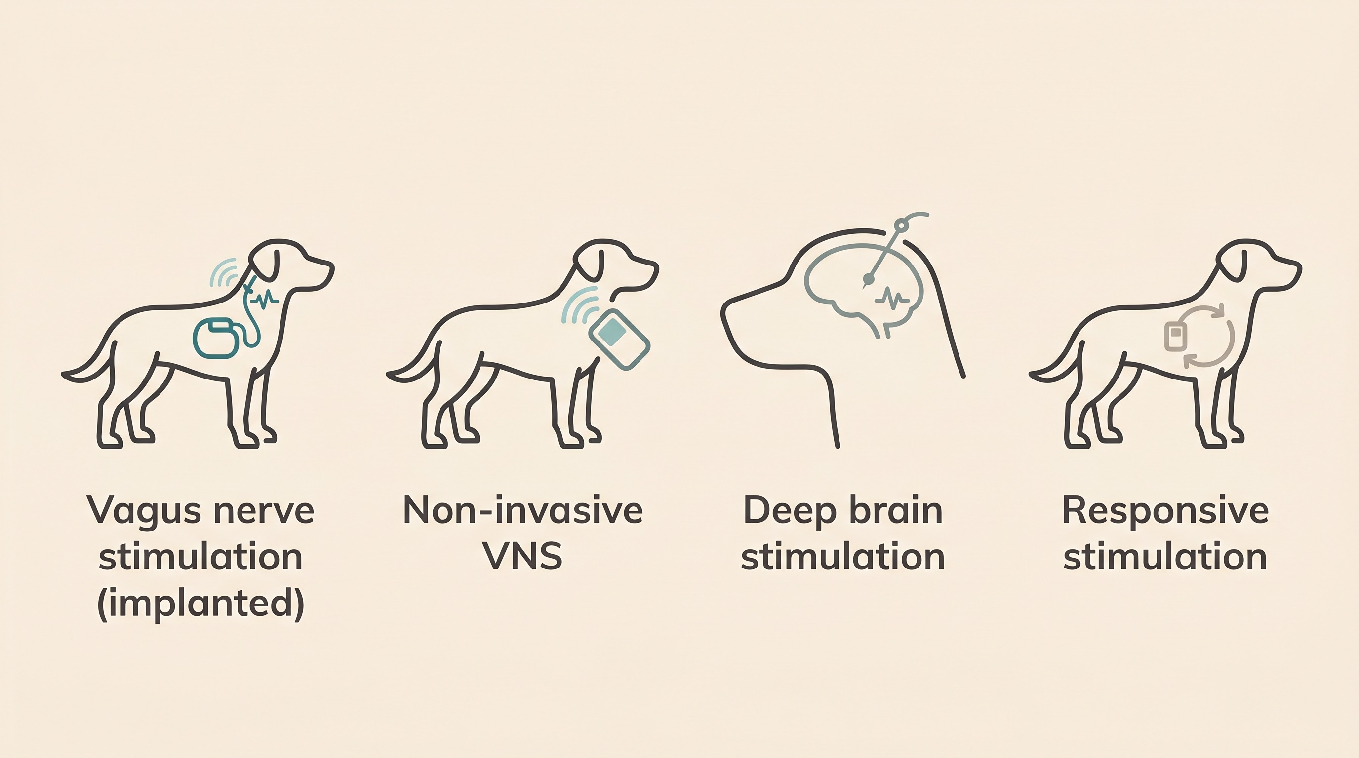 A clean flat illustration on a cream background showing four neurostimulation approaches in dogs labelled "Vagus nerve stimulation (implanted)", "Non-invasive VNS", "Deep brain stimulation" and "Responsive stimulation", each with a small icon and a tiny dog silhouette, soft charcoal and teal palette