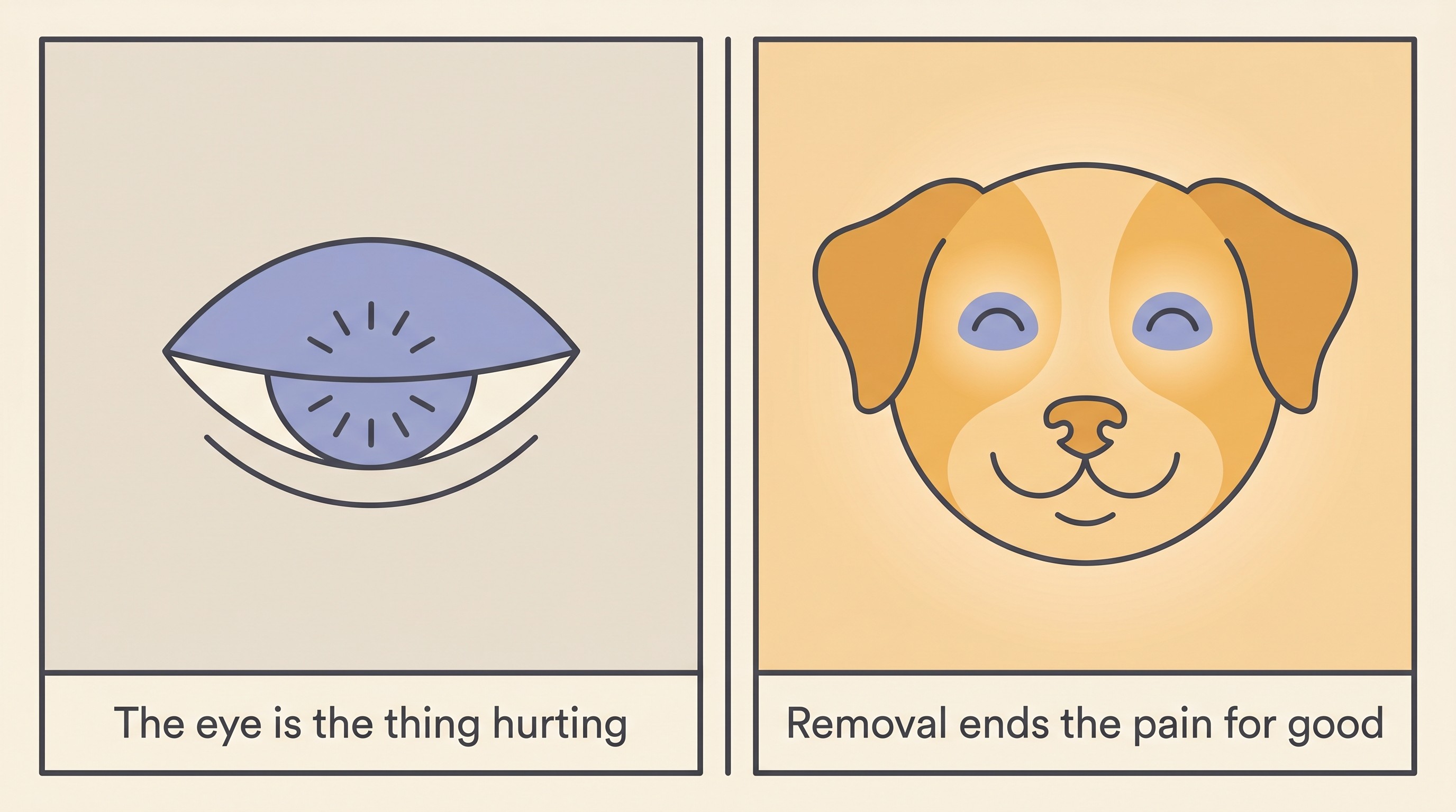 Two calm flat-icon panels on a cream background. The left panel shows a closed, sore eye with small heat lines and the label “The eye is the thing hurting, every hour”; the right shows a relaxed, comfortable pet face with the label “Removal ends the pain for good”.