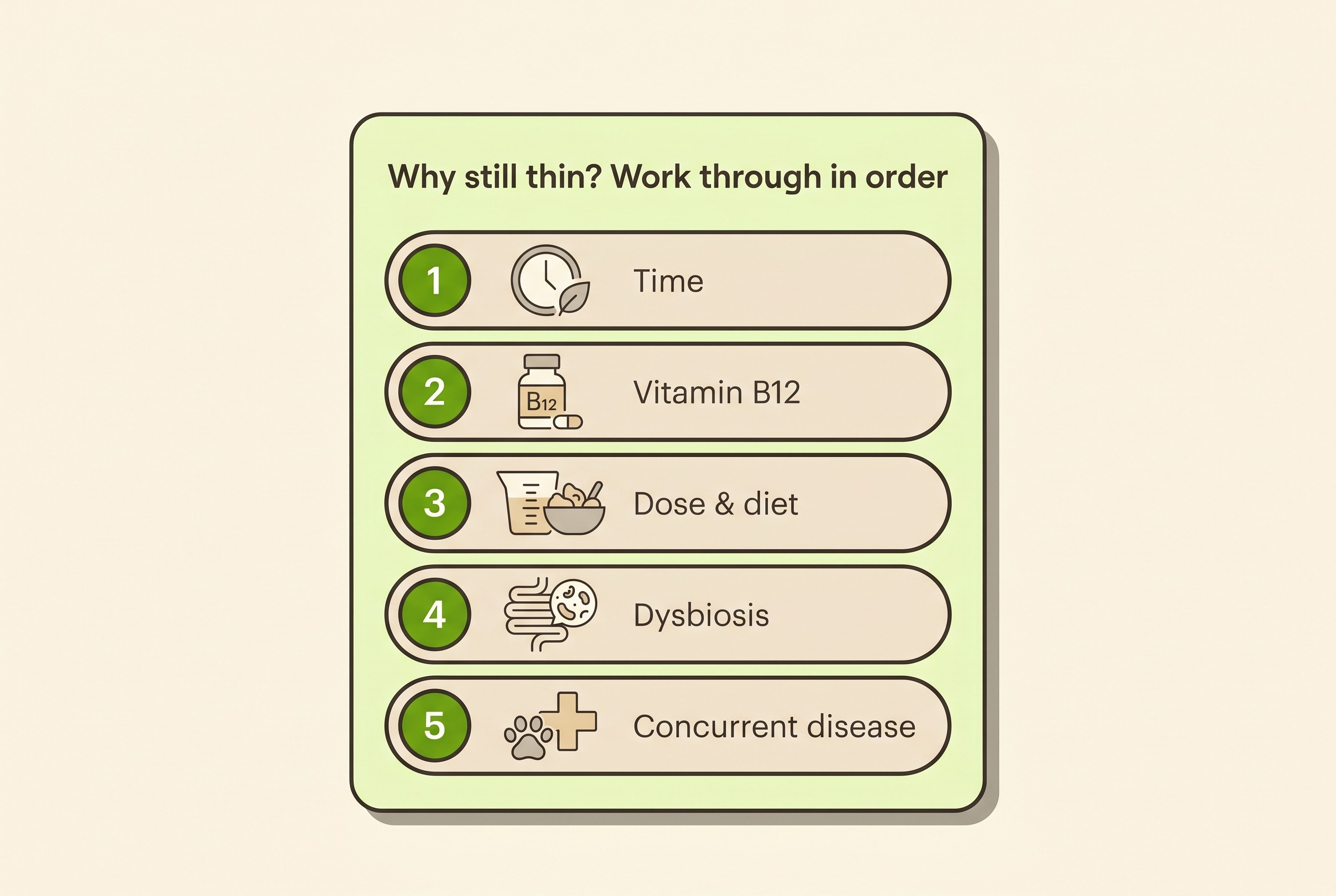 A checklist on cream of the fixable reasons an EPI dog is still losing weight, with line icons for time, vitamin B12, dose and diet, dysbiosis and concurrent disease