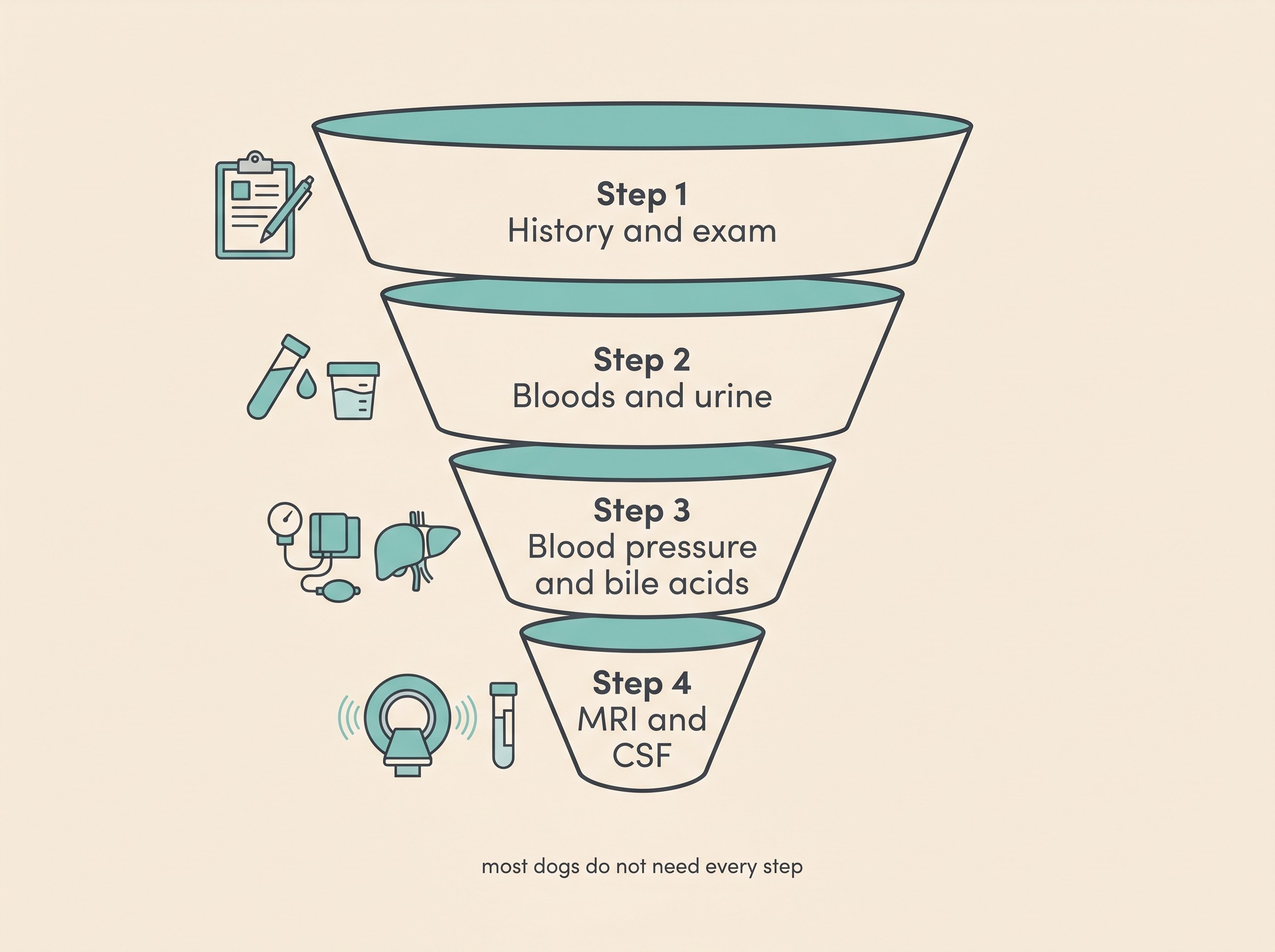 A staged diagram on cream showing the four tiers of the epilepsy workup as a funnel: Step 1 History and exam, Step 2 Bloods and urine, Step 3 Blood pressure and bile acids, Step 4 MRI and CSF, with a note that most dogs do not need every step