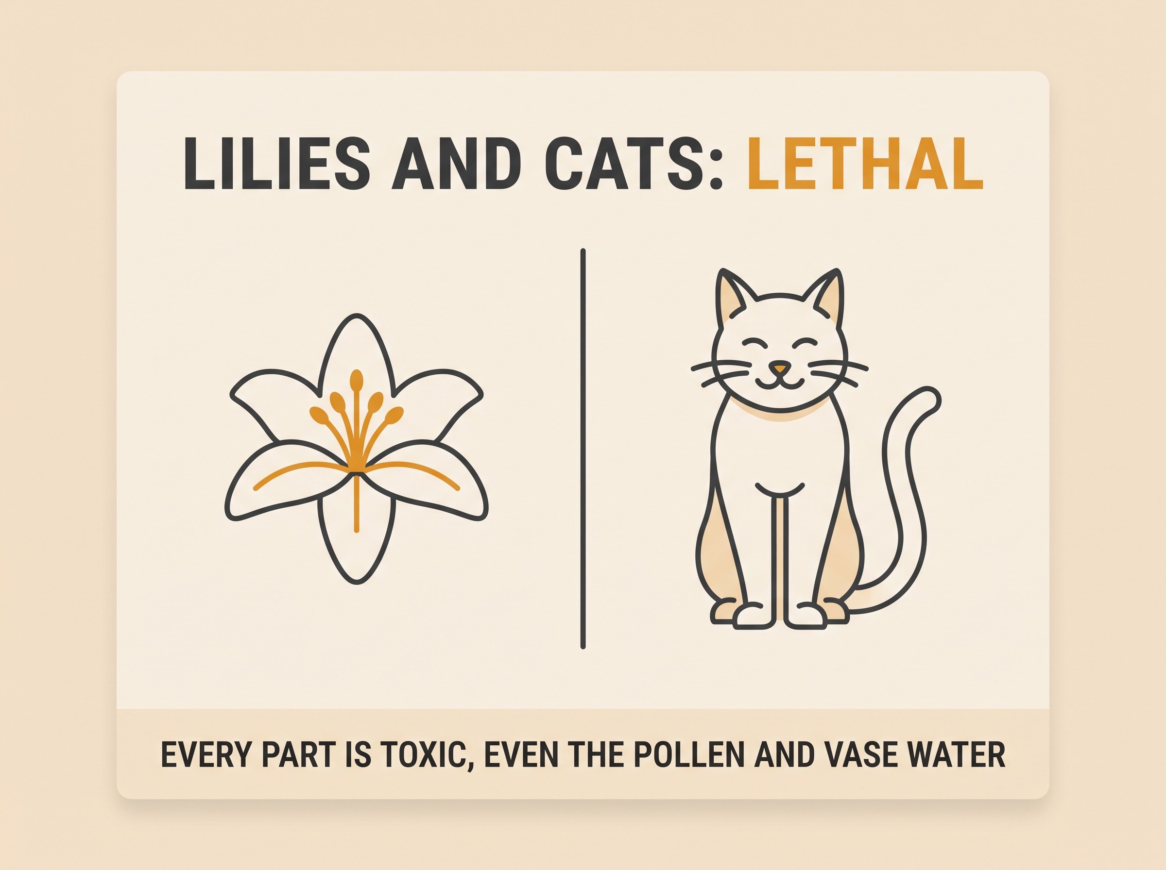 A restrained amber warning card on cream headed "LILIES AND CATS: LETHAL", showing a lily and a cat with a clear separation, and a short line "every part is toxic, even the pollen and vase water", in soft charcoal linework.