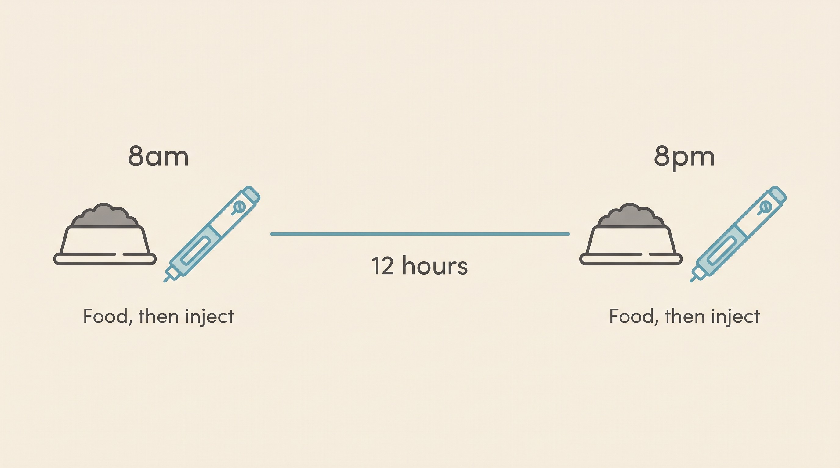 A twice-daily timeline showing a food bowl and an insulin pen at 8am and 8pm, twelve hours apart, the bowl placed just before each injection.
