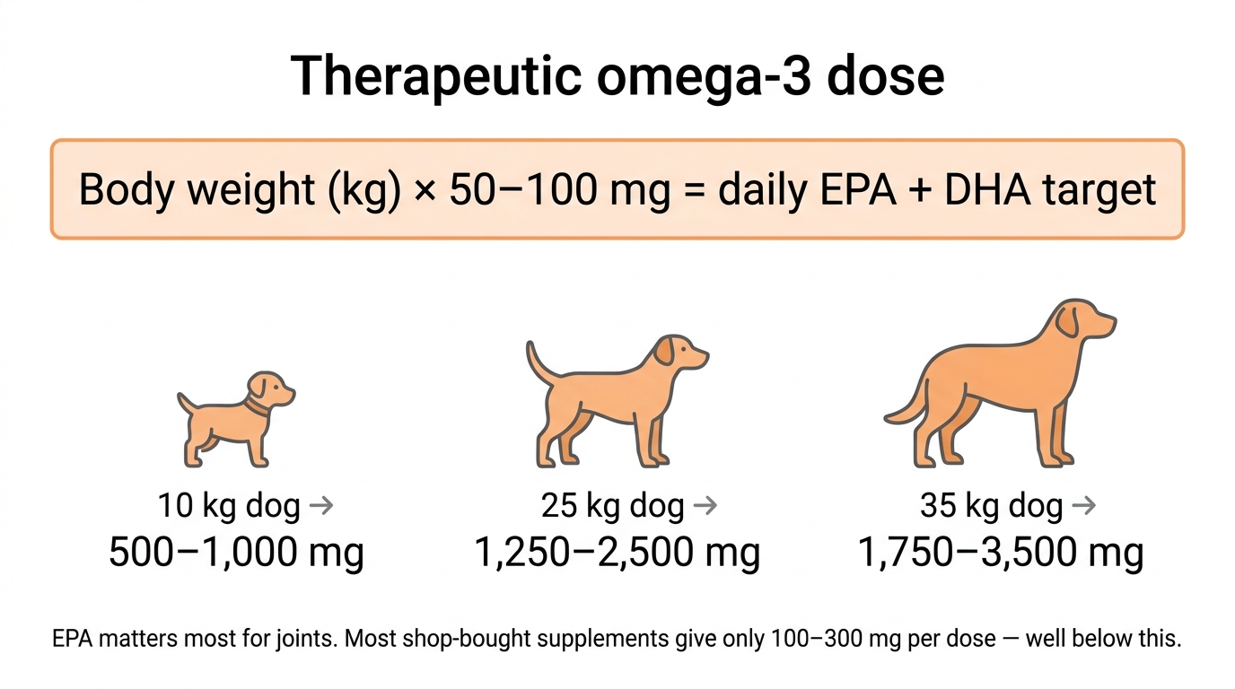 An infographic titled Therapeutic omega-3 dose with the formula body weight in kg times 50 to 100mg equals daily EPA plus DHA target, and worked examples for a 10kg, 25kg and 35kg dog