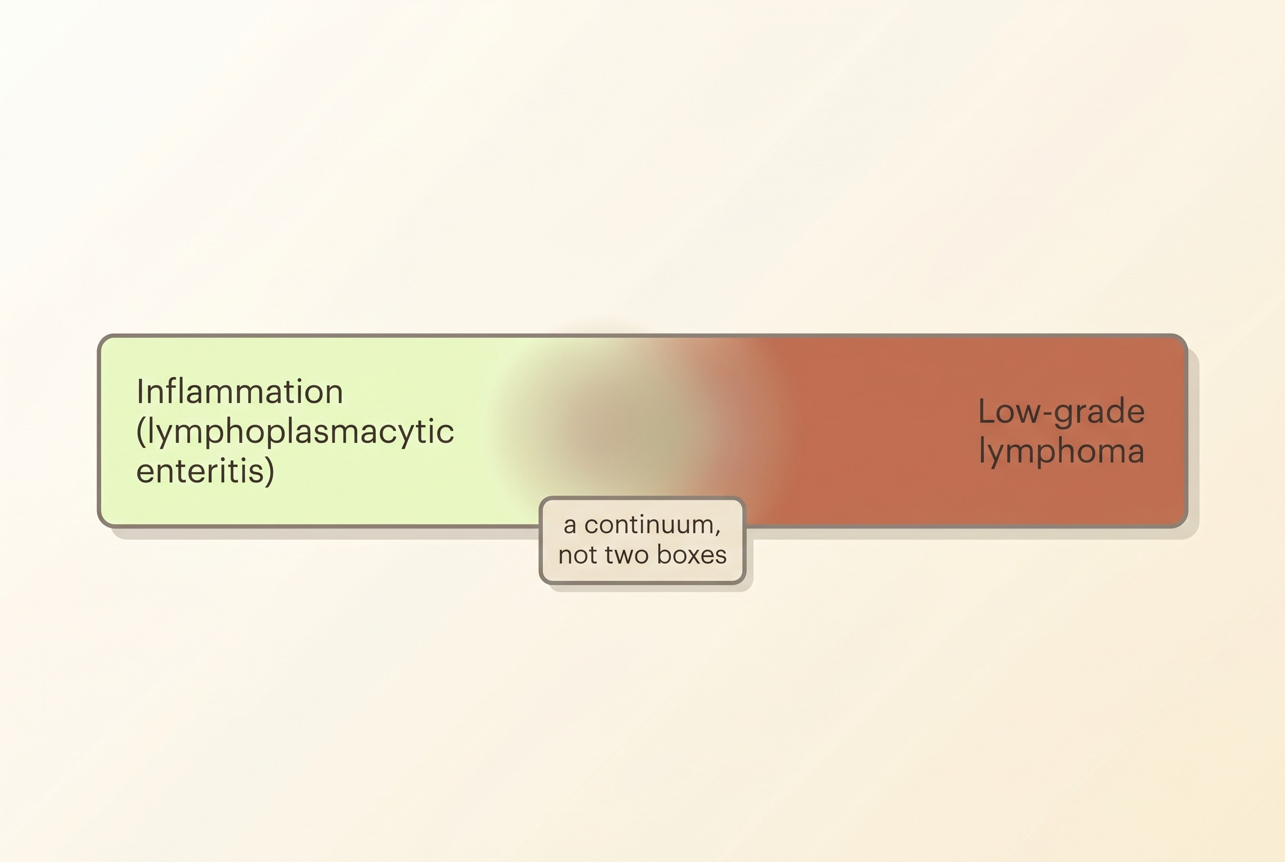 Inflammation and low-grade lymphoma sit on a spectrum and can be hard to tell apart