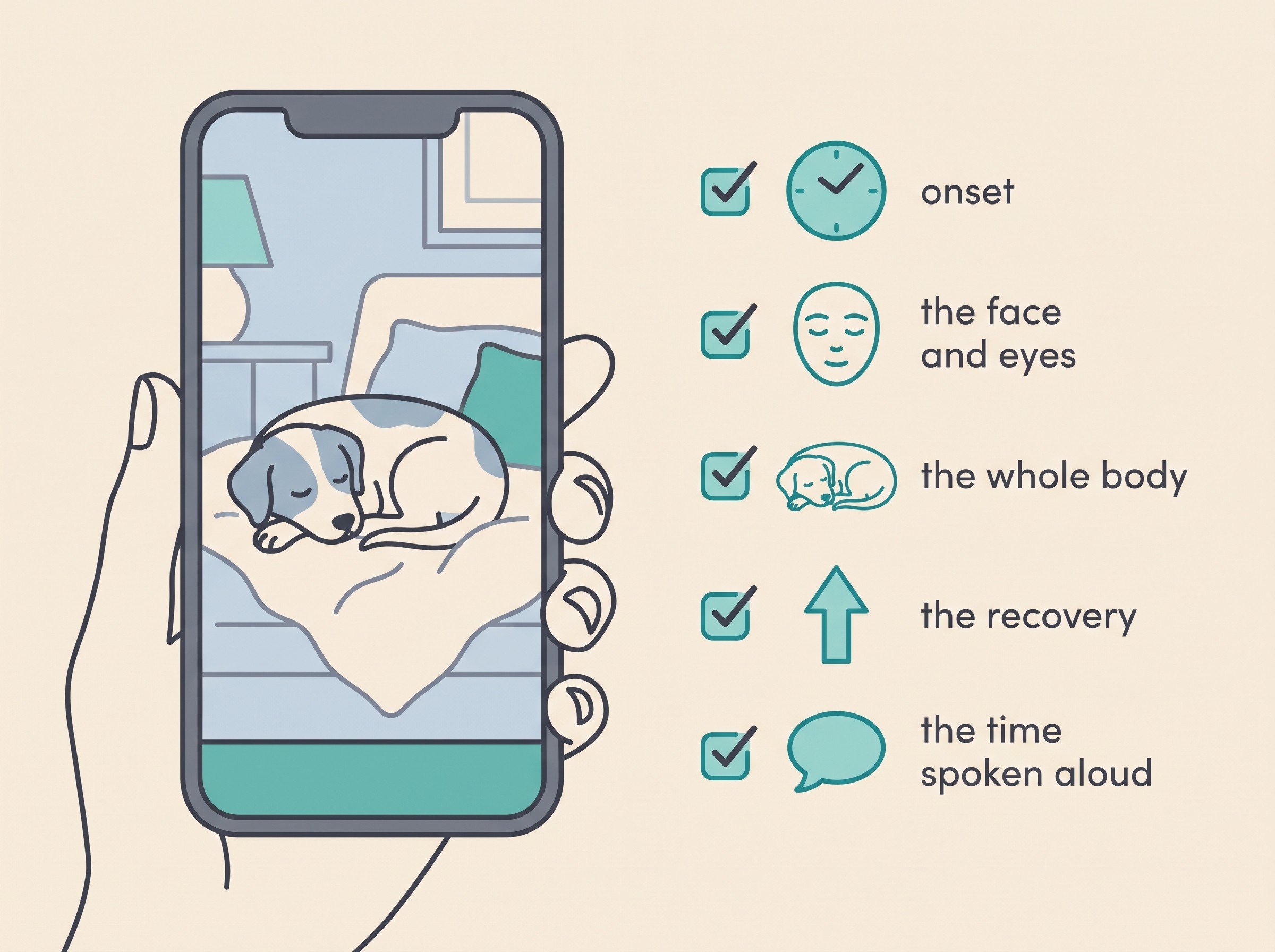 A flat-style illustration on cream of a smartphone framing a calm scene, captioned with a checklist of what to film: onset, the face and eyes, the whole body, the recovery, and the time spoken aloud