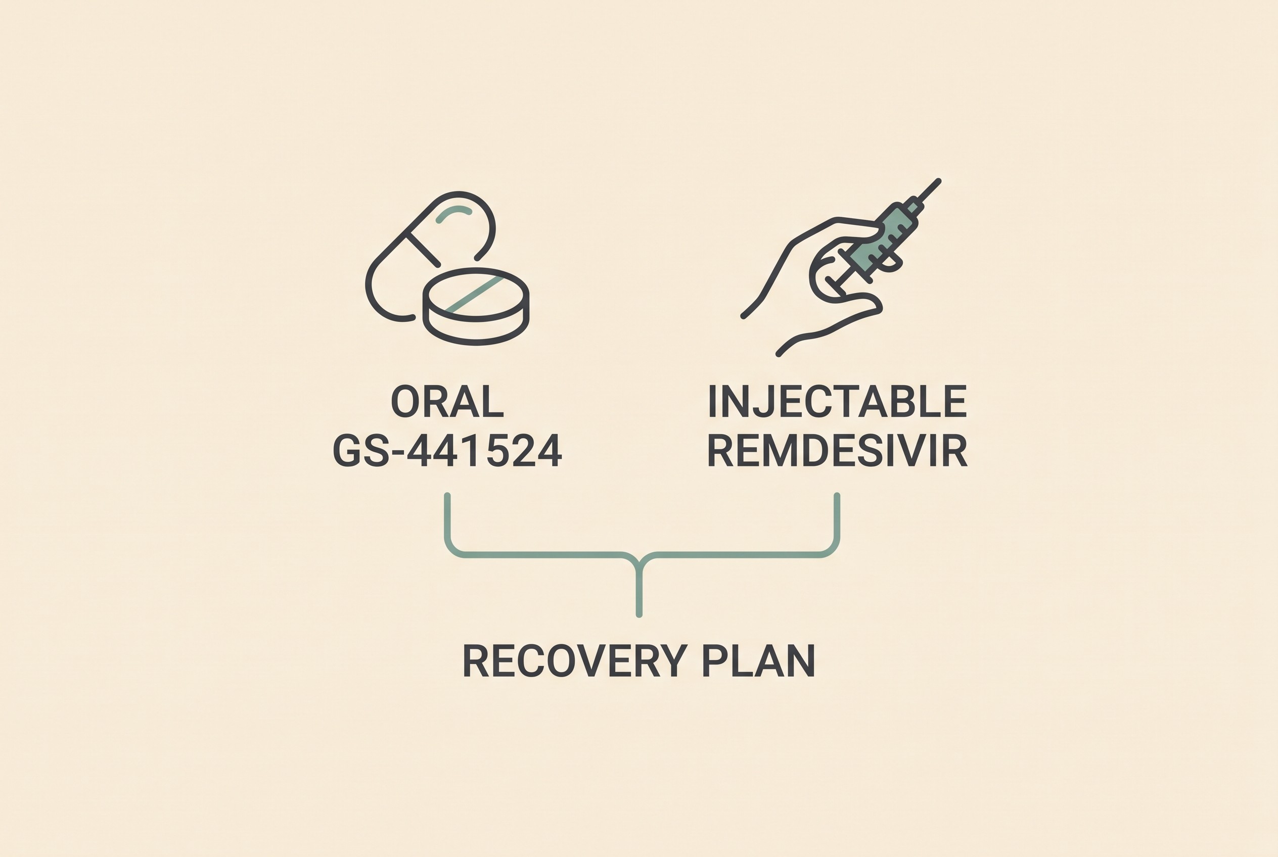 A calm decision fork showing oral tablets and an injectable option meeting at a shared recovery line