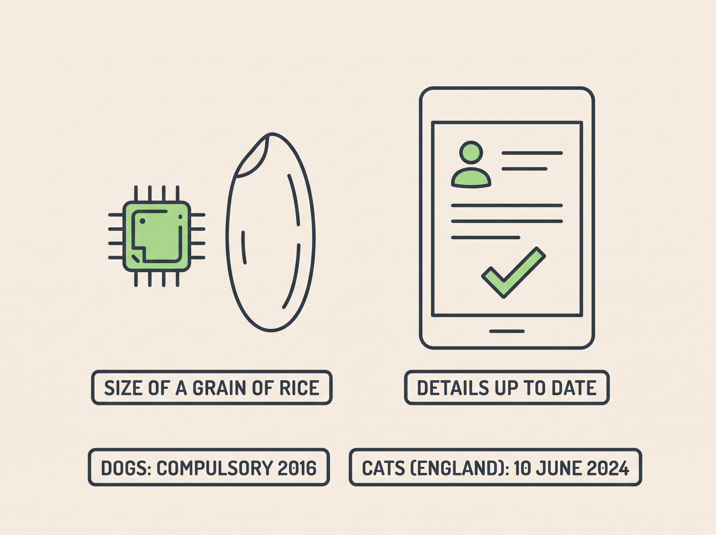 A simple flat-vector graphic of a microchip the size of a grain of rice beside a phone showing an up-to-date owner record, with small verbatim date labels for the dog and cat microchip laws, on a cream background.