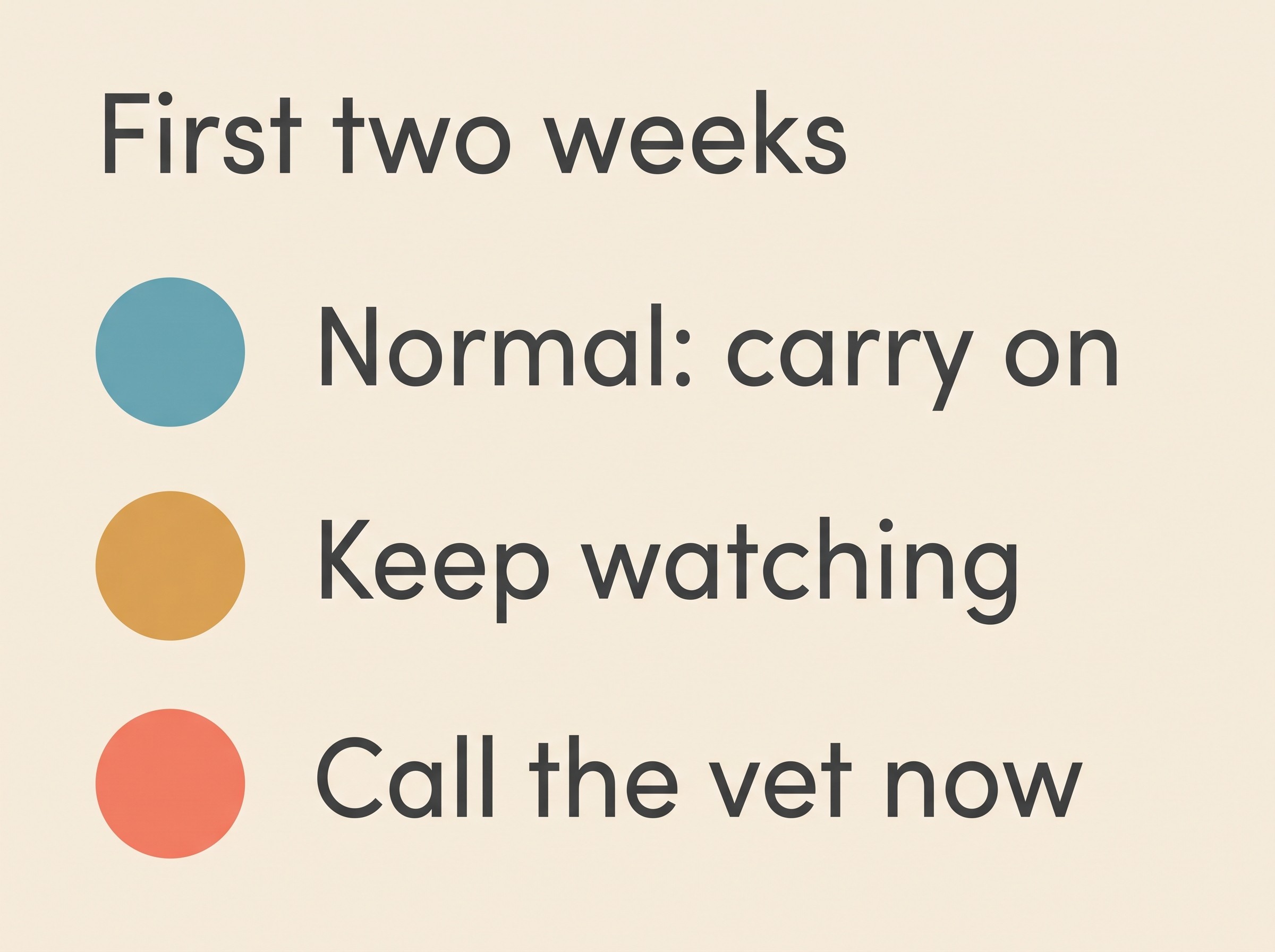 A traffic-light card showing green normal signs, amber keep-watching signs, and red call-the-vet-now signs in the first two weeks on insulin
