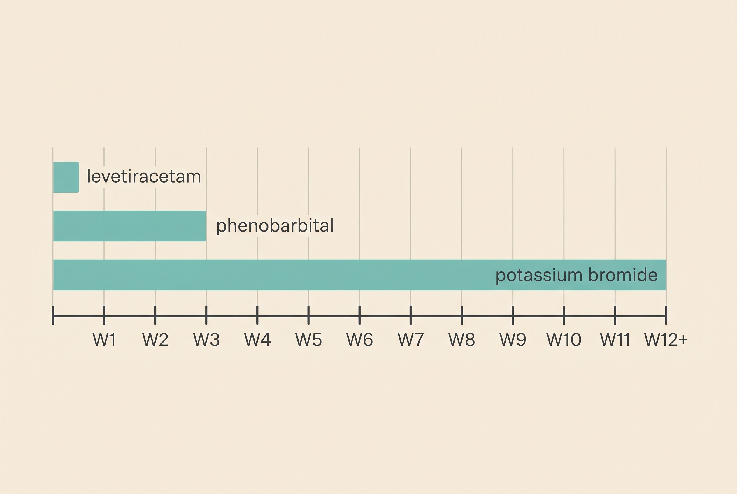 A calendar showing the weeks to steady state for the common anti-seizure drugs